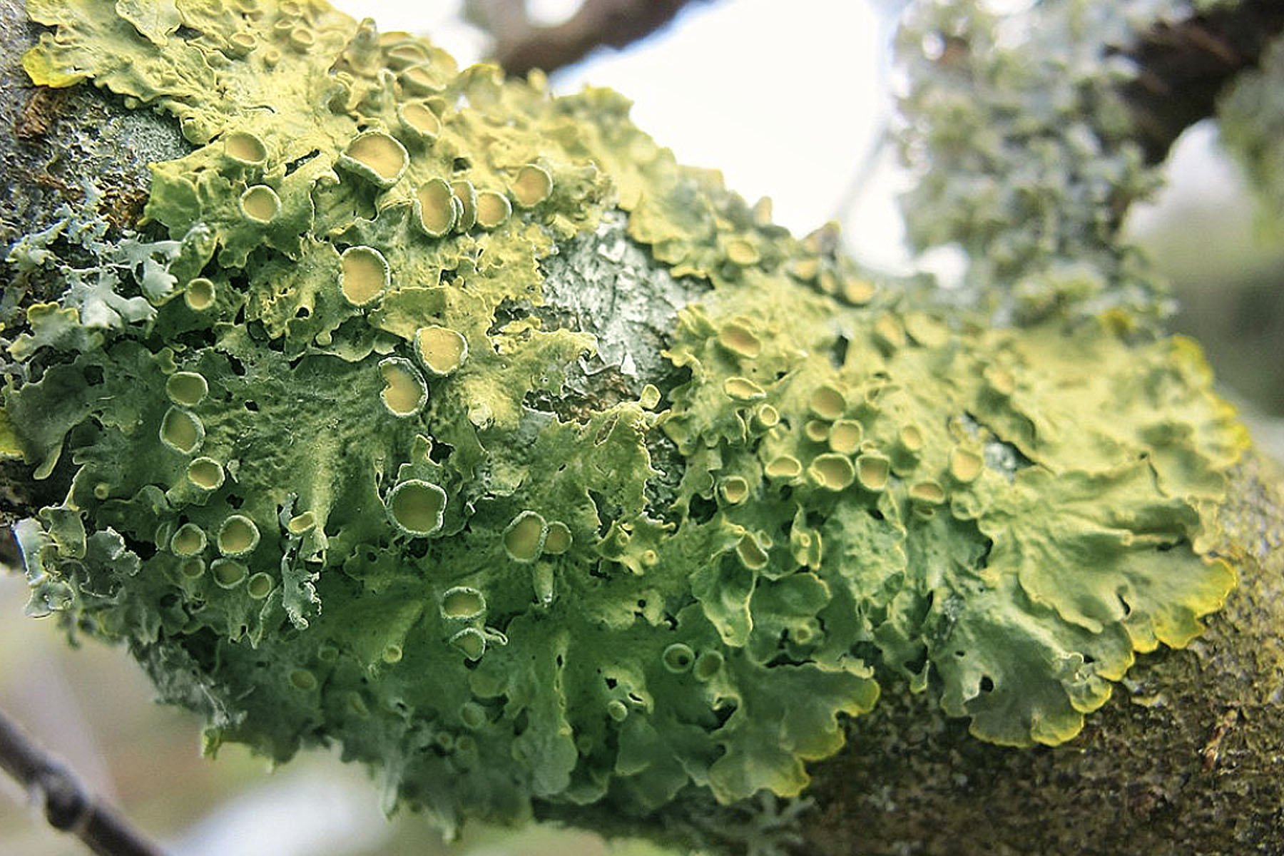 GARDEN_INSPO_01.jpg
