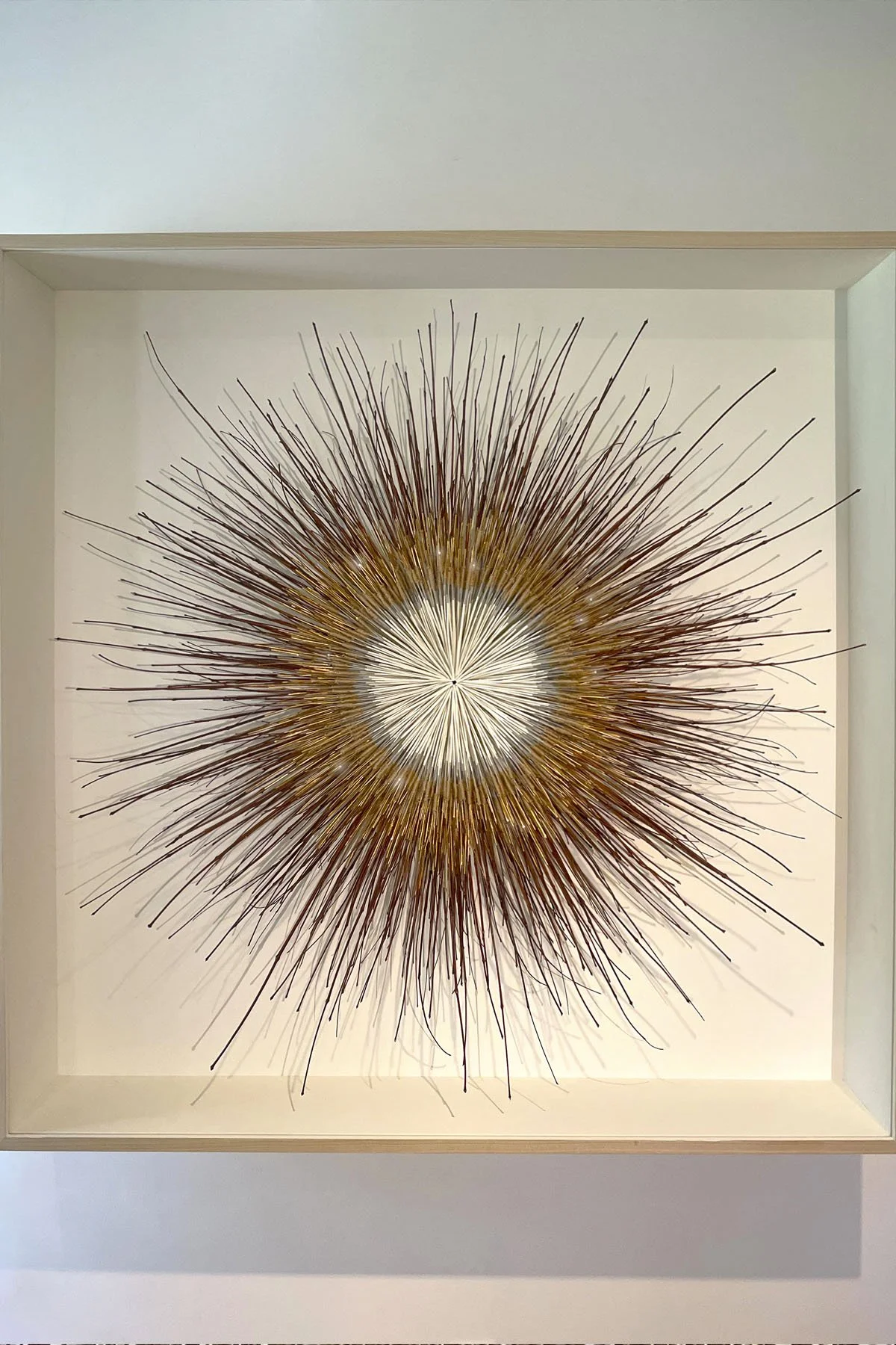 GOLDEN RAINTREE 011.jpg