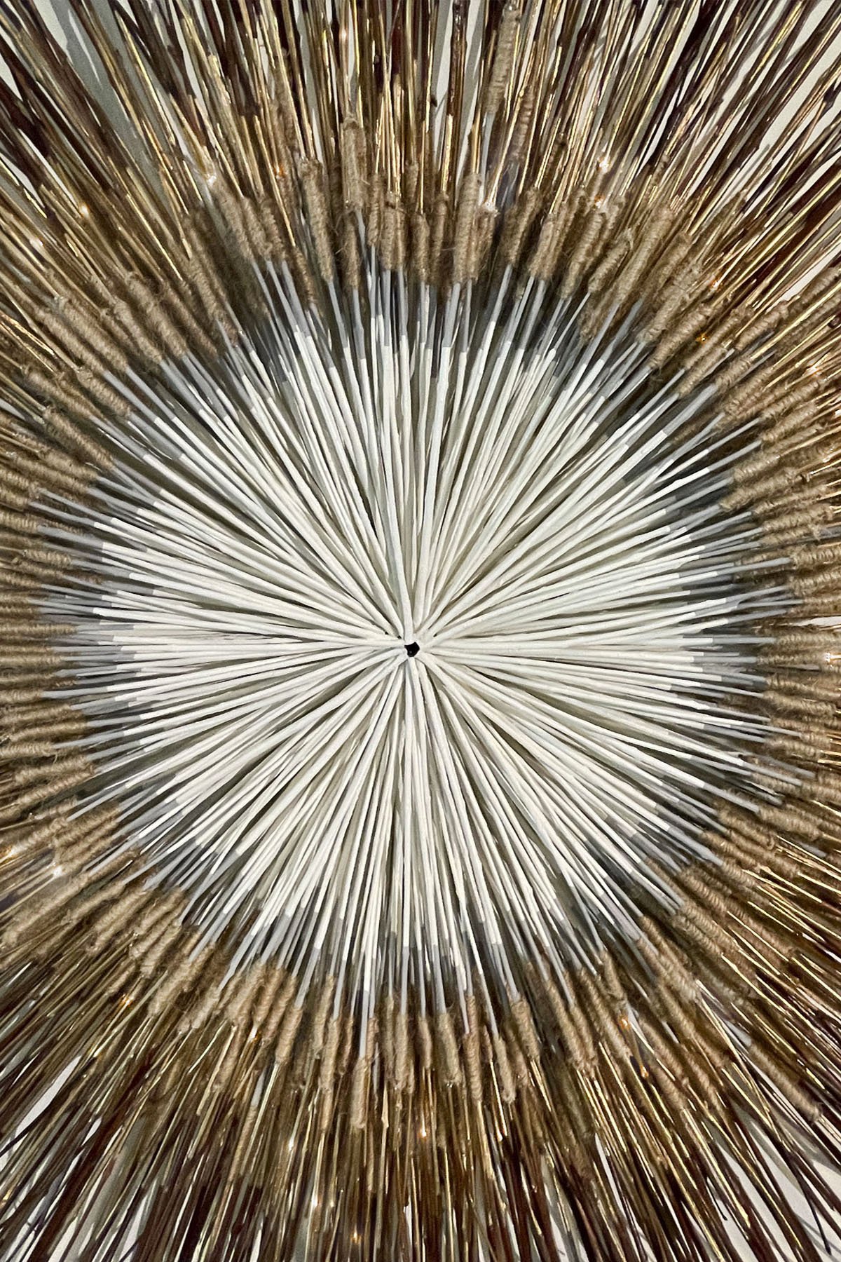 GOLDEN RAINTREE 010.jpg