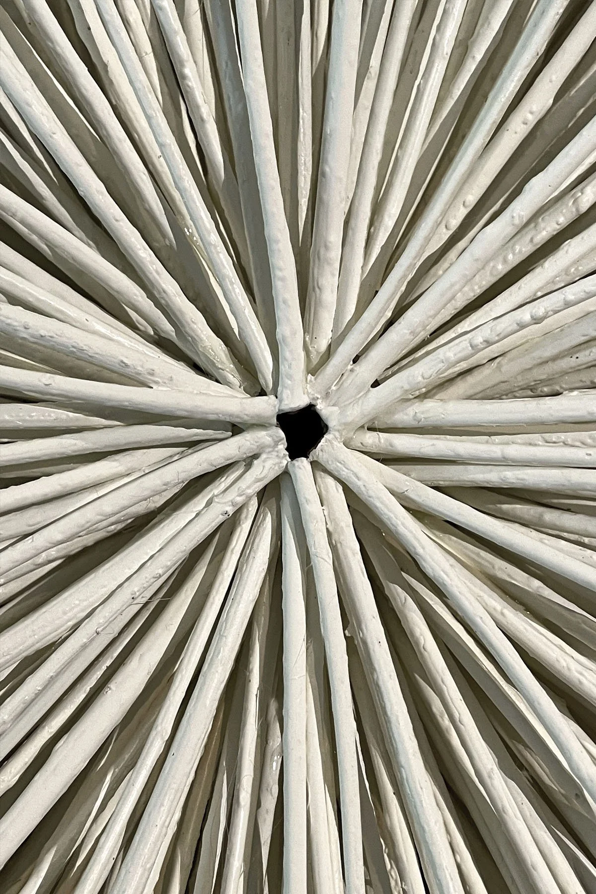 GOLDEN RAINTREE 09.jpg