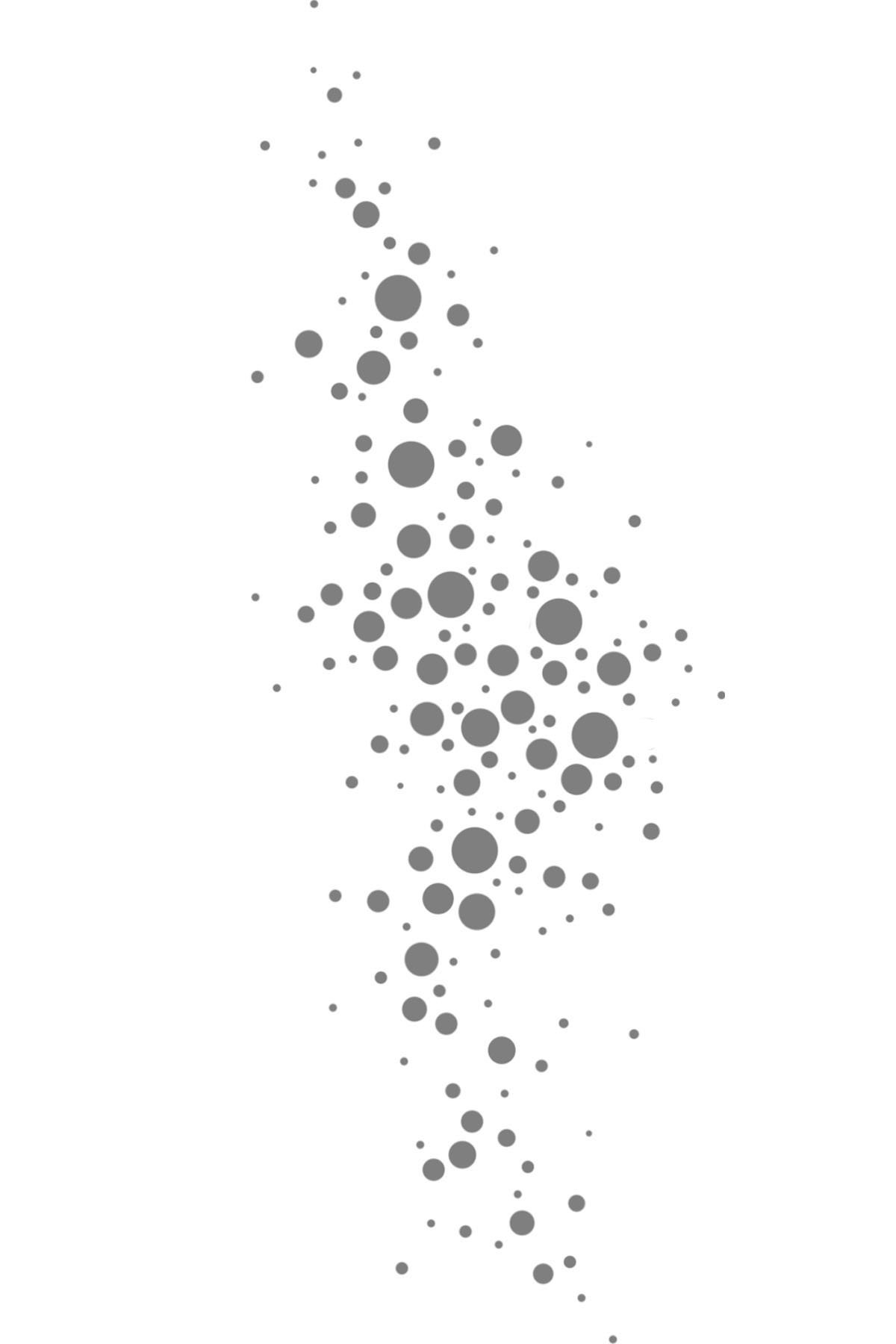 GARDEN_PROCESS_02.jpg