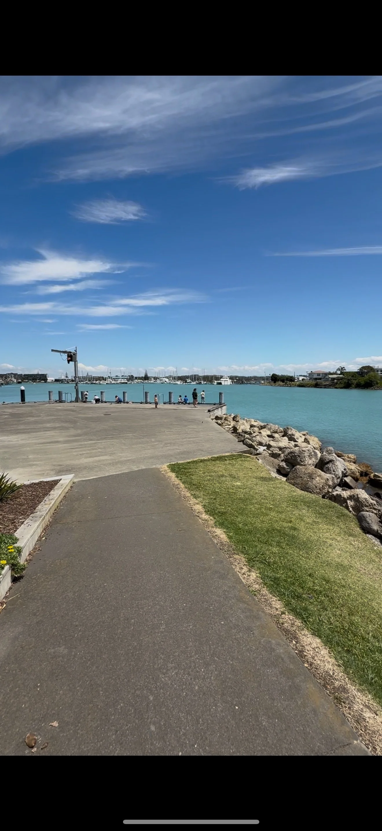 boardwalk te karaka.jpeg