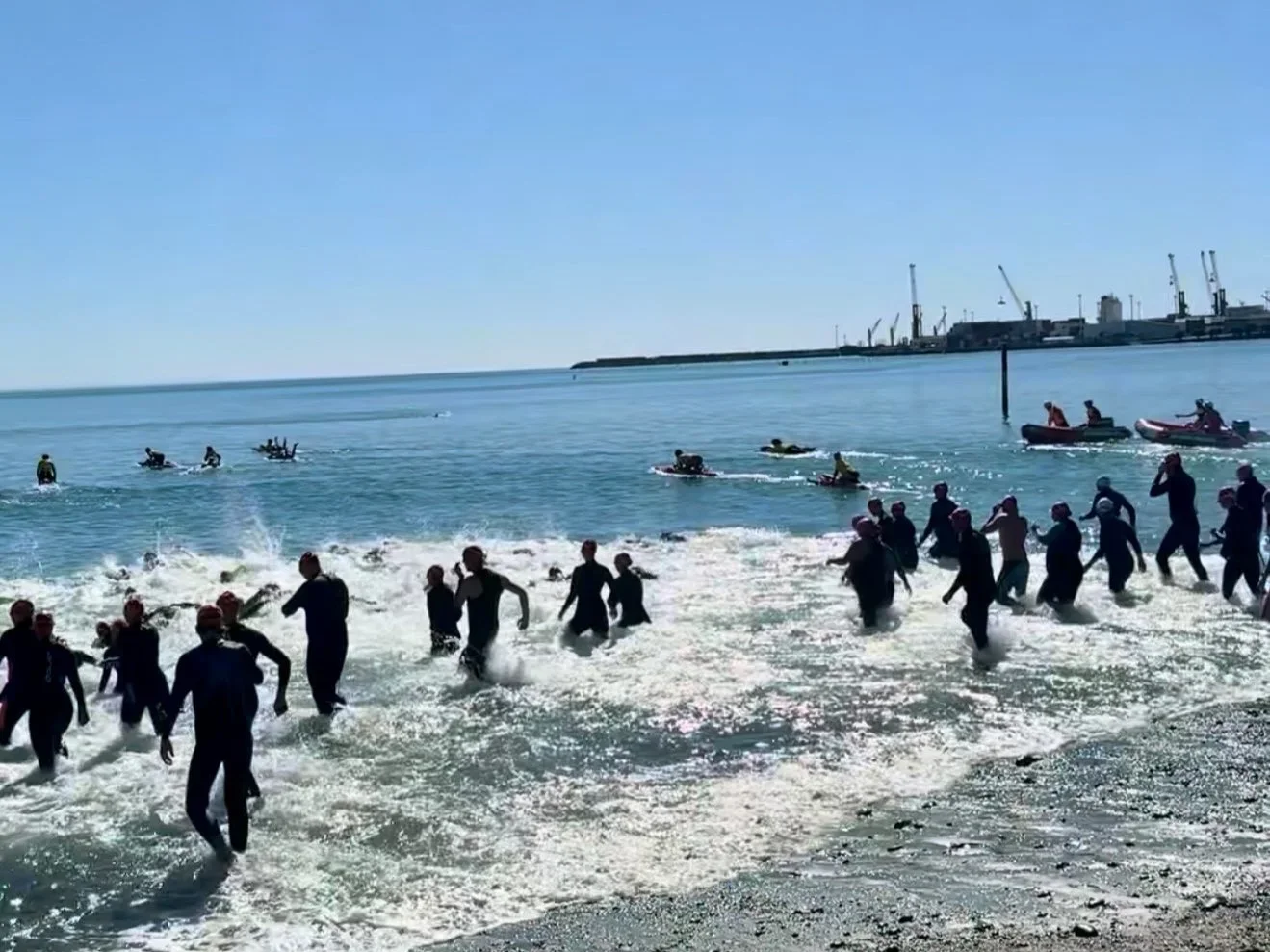 Napier Port Ocean Swim this Saturday