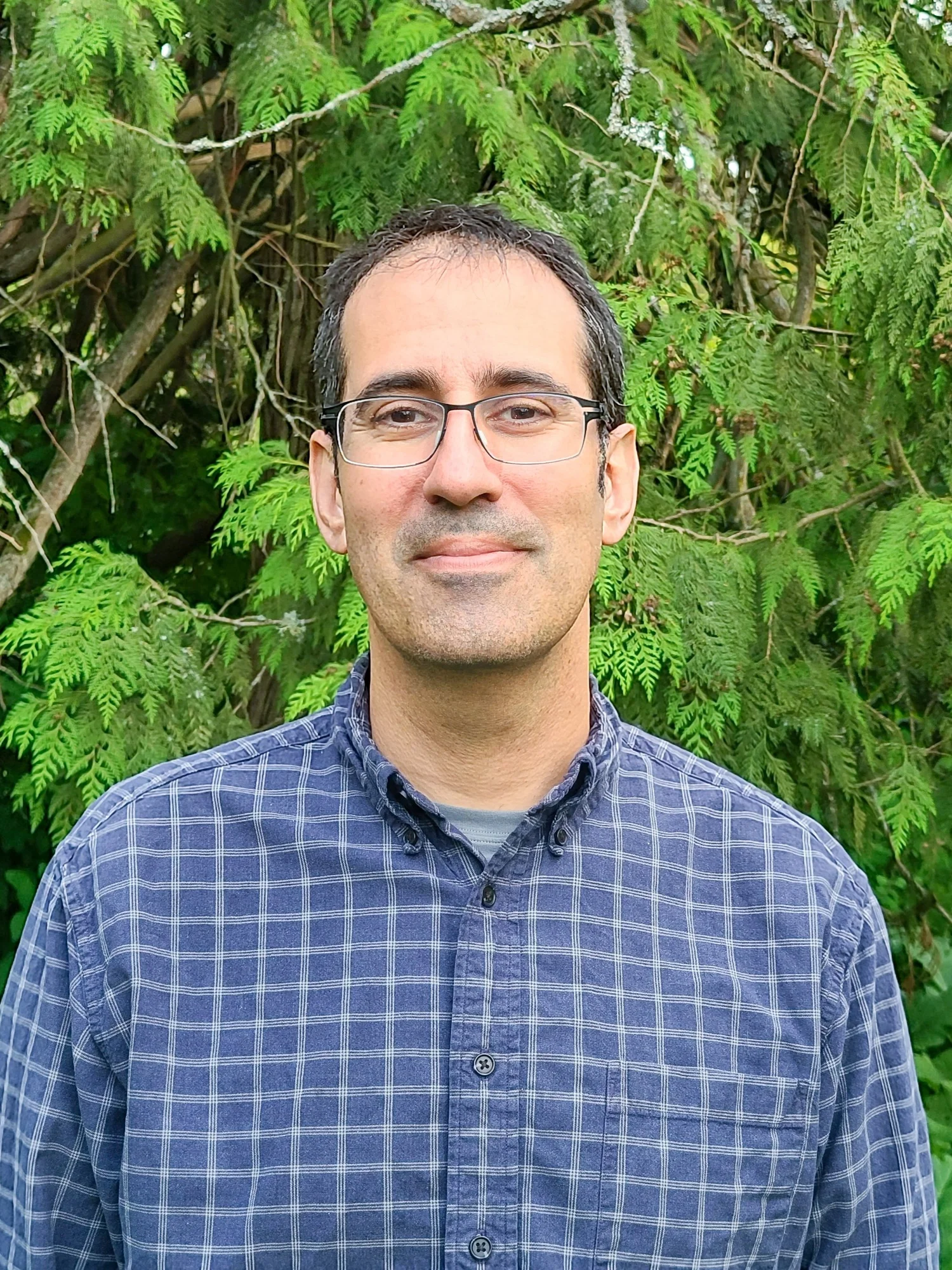 Telehealth Providers — Mindful Therapy Group