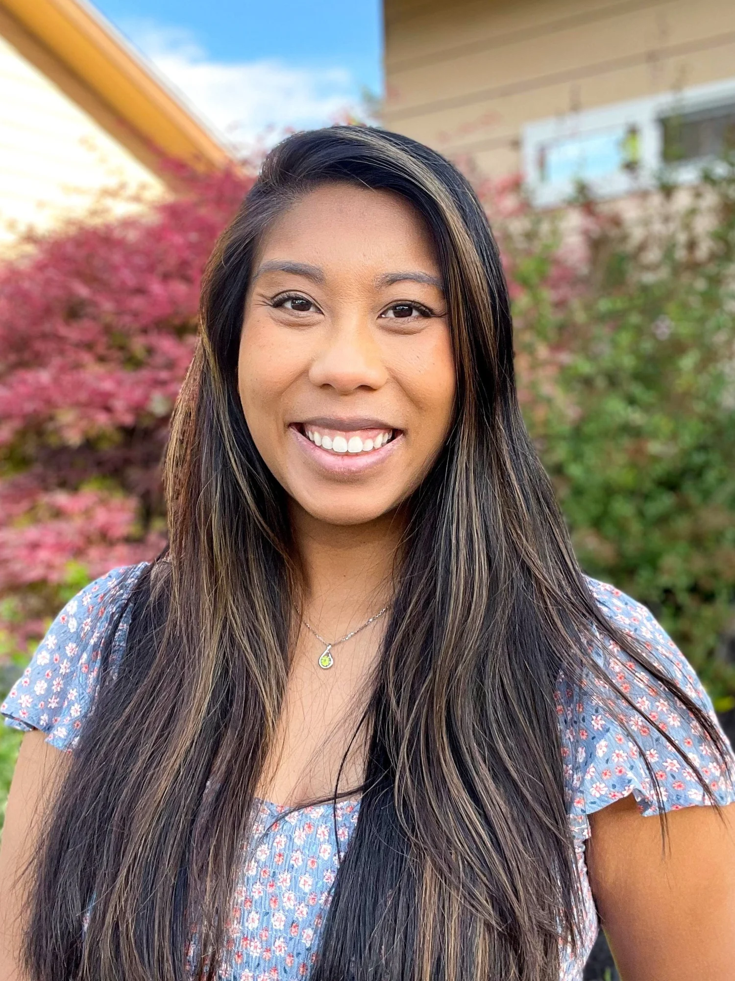 Telehealth Providers — Mindful Therapy Group