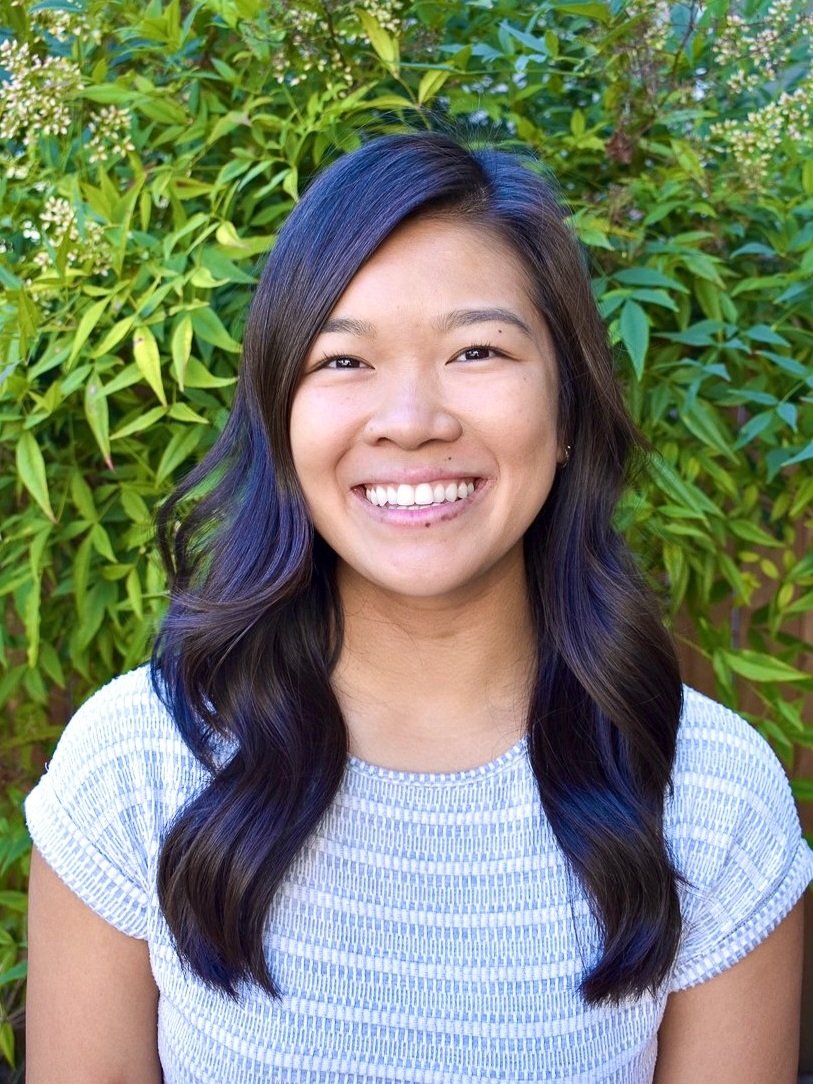 Telehealth Providers — Mindful Therapy Group