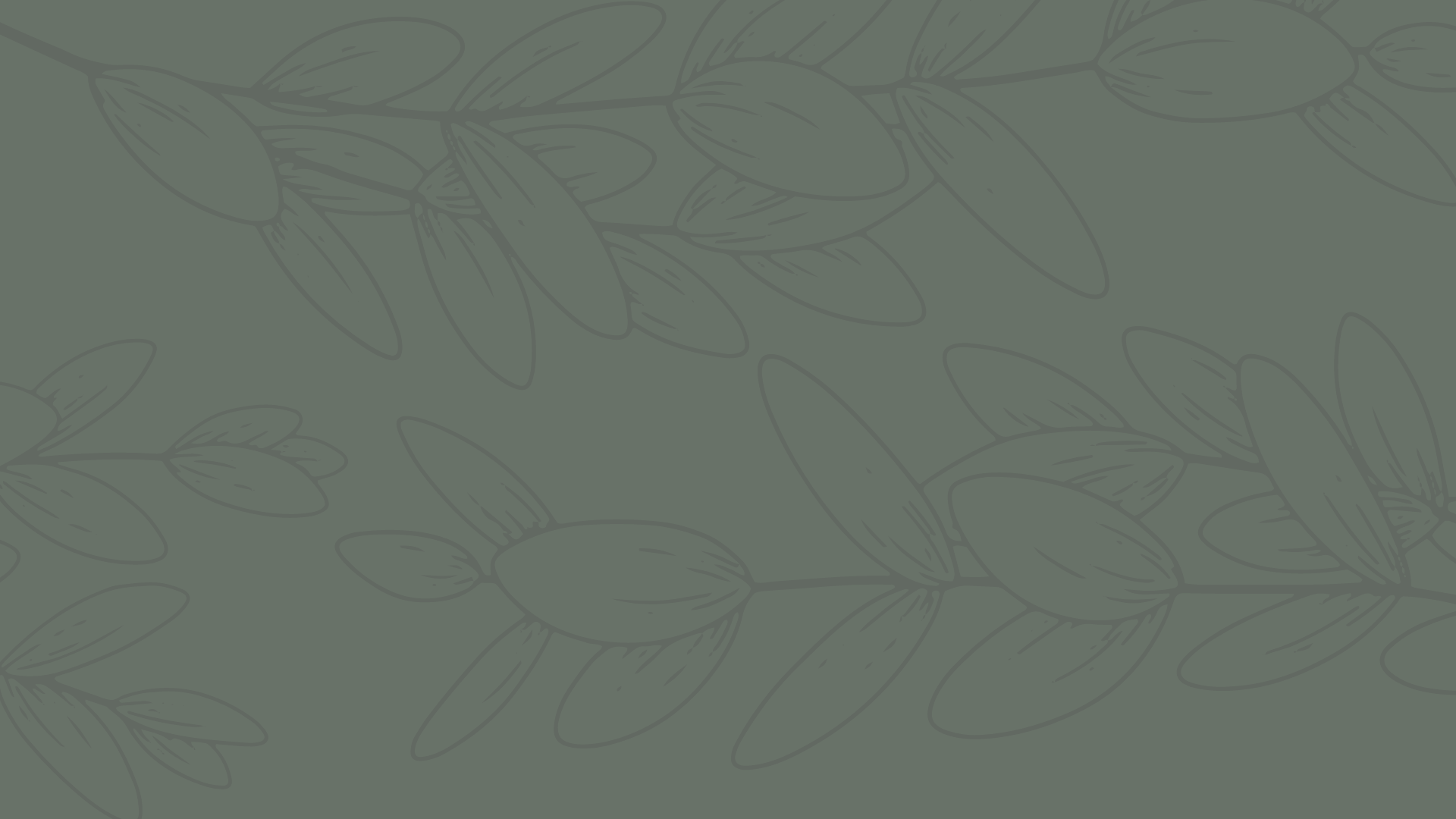 Willow Trace Mobile Home Community