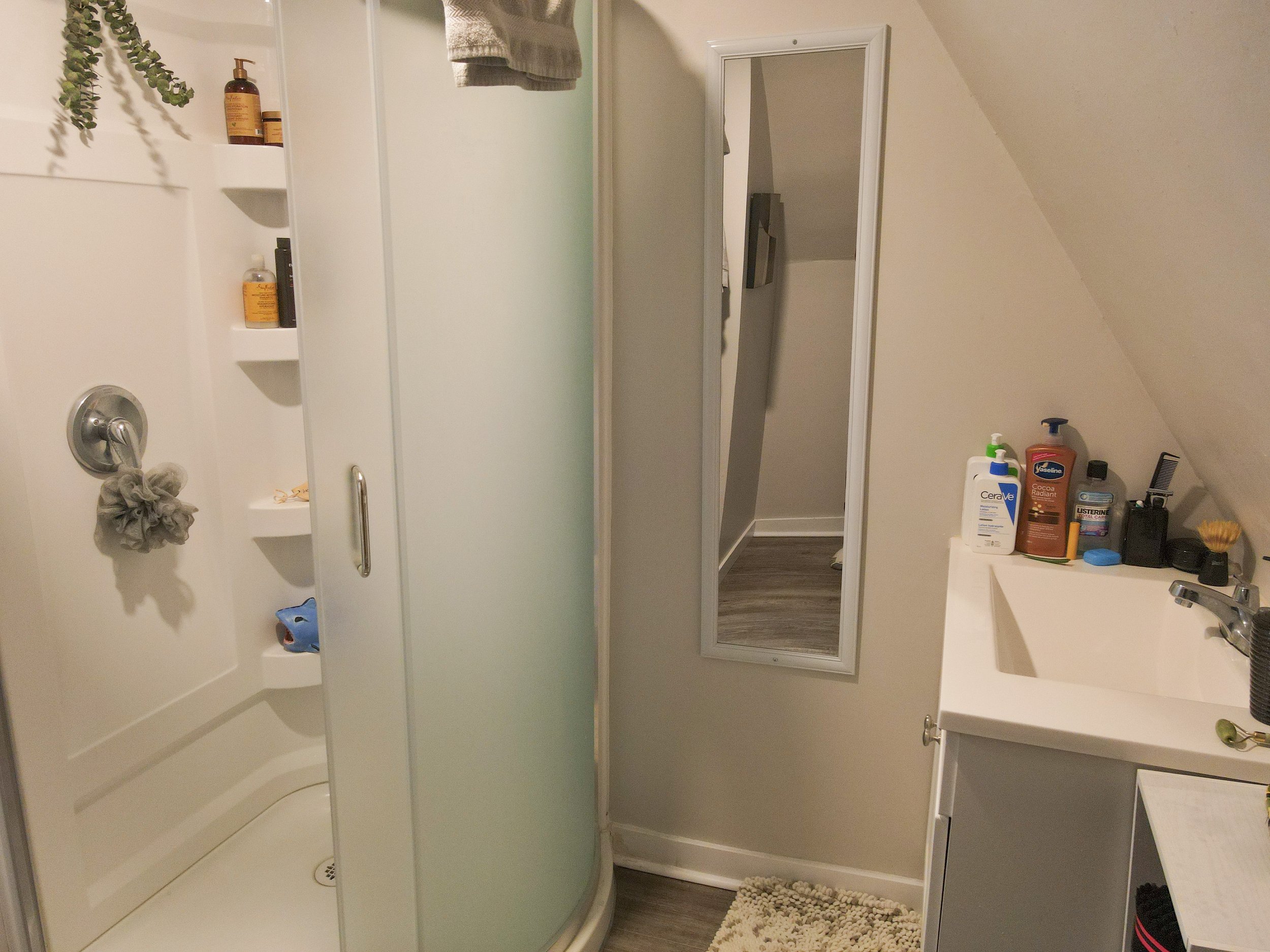 Bathroom:Shower.jpg