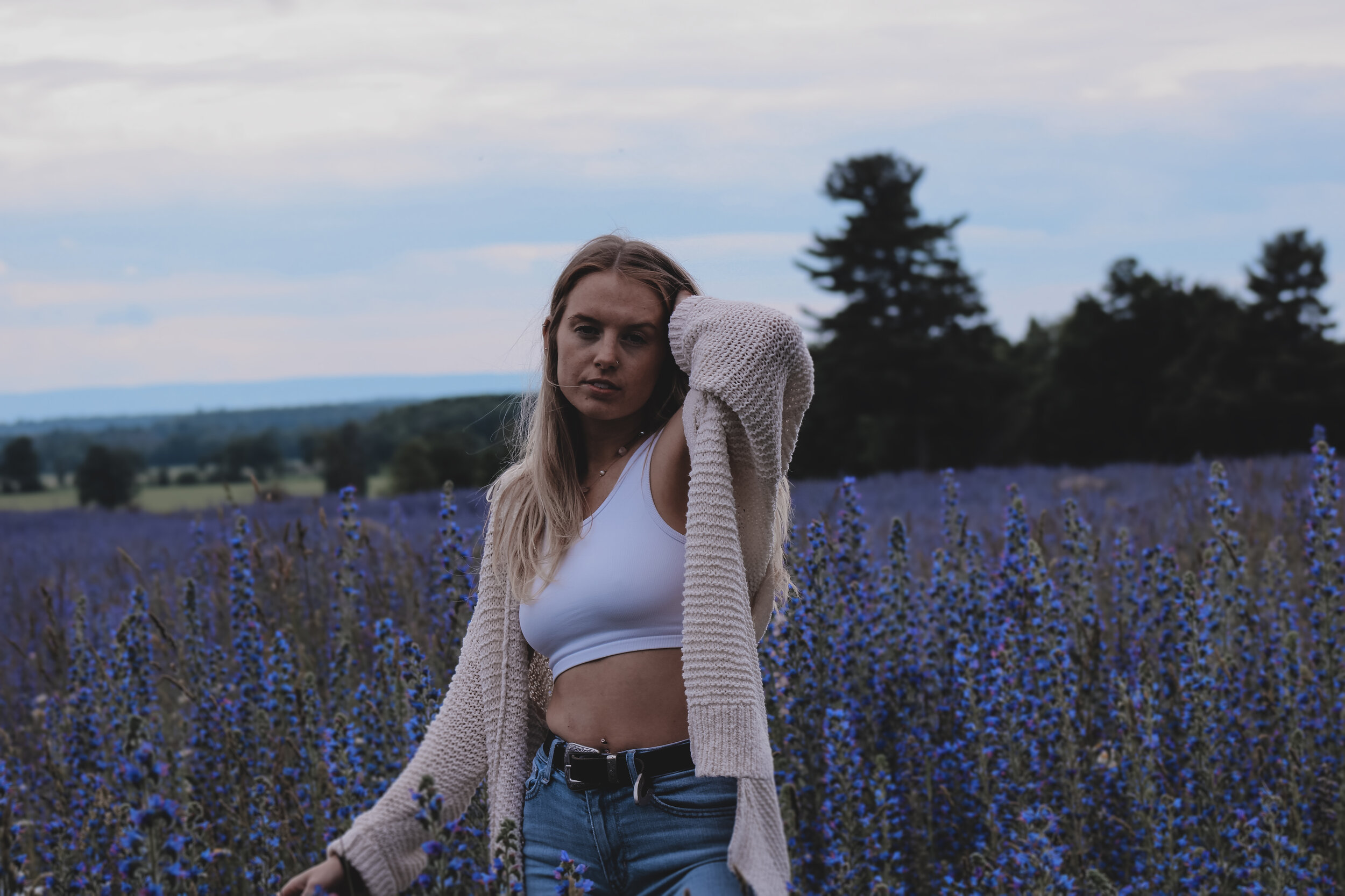 Lavender Field- Hailey M