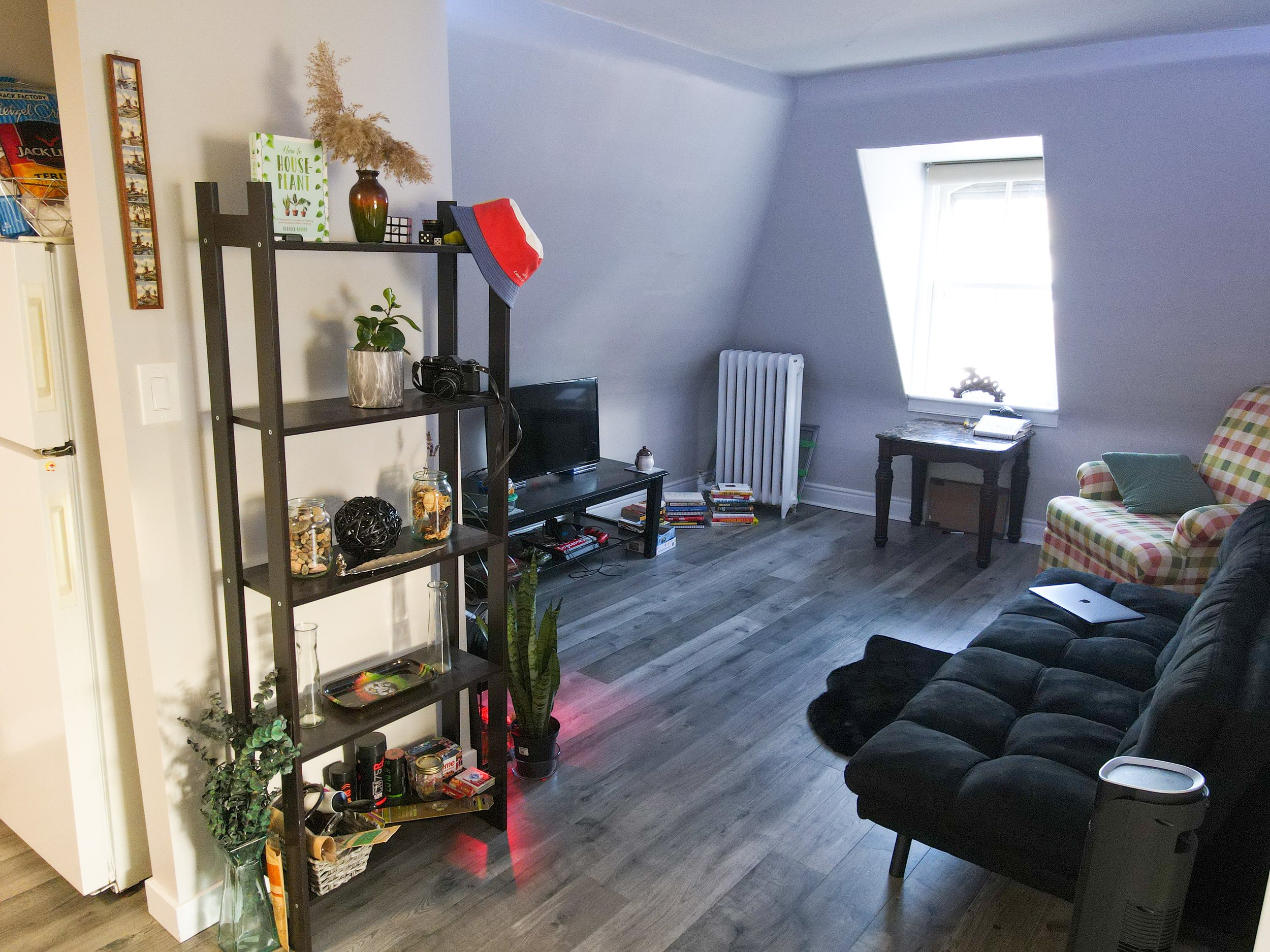Den Area.jpg