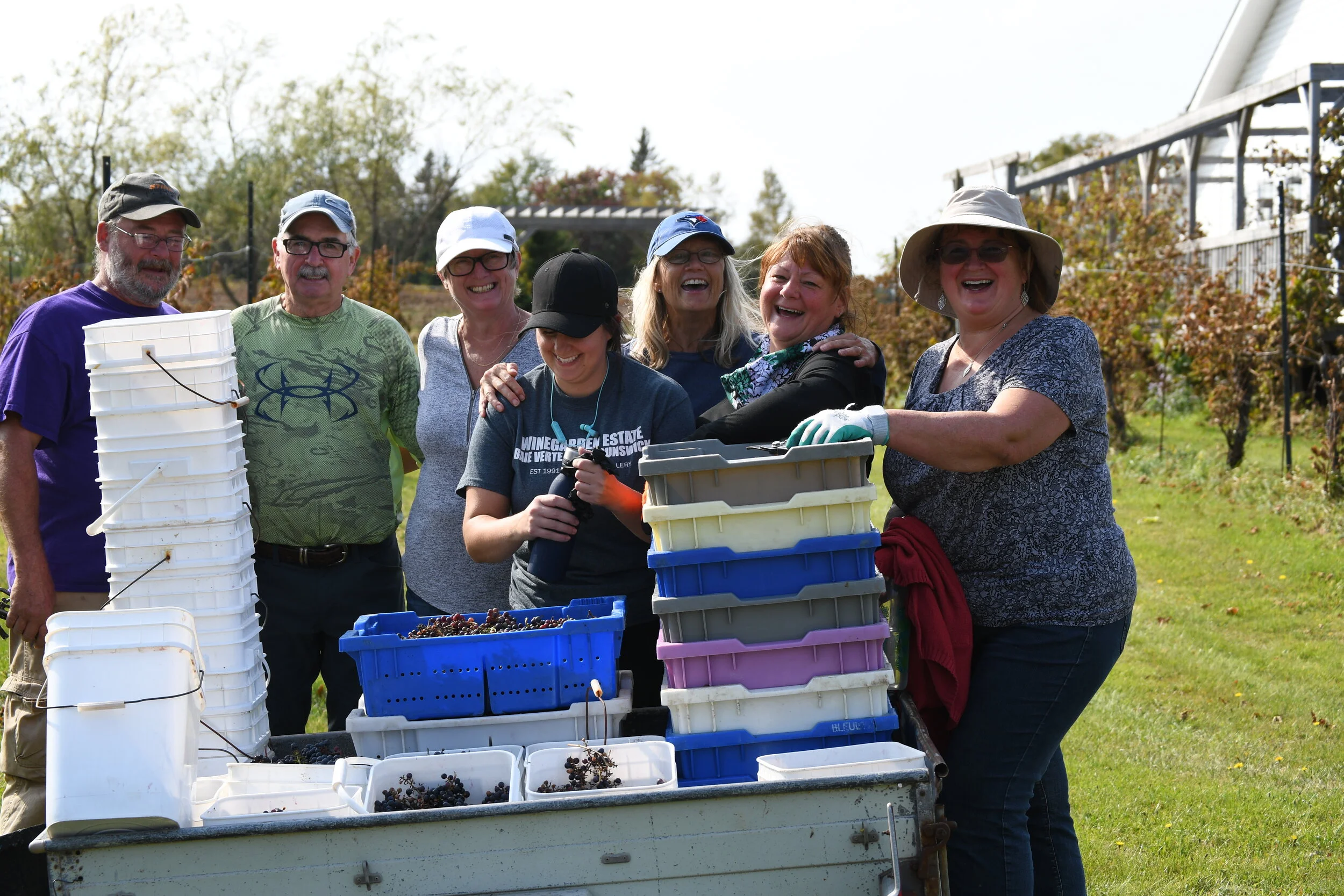 Winegarden Estate Ltd. — Behind the Scenes Harvesting at Winegarden Estate