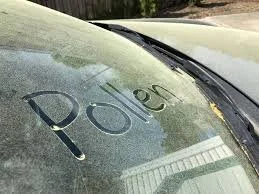 How Ceramic Coating Makes Pollen Season Easy (Yes, Really)