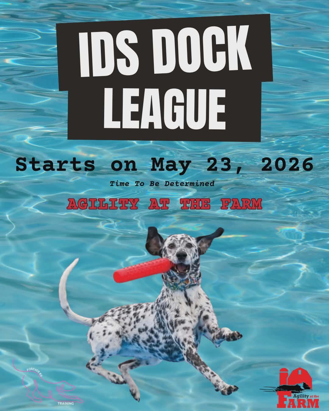 IDS Dock League