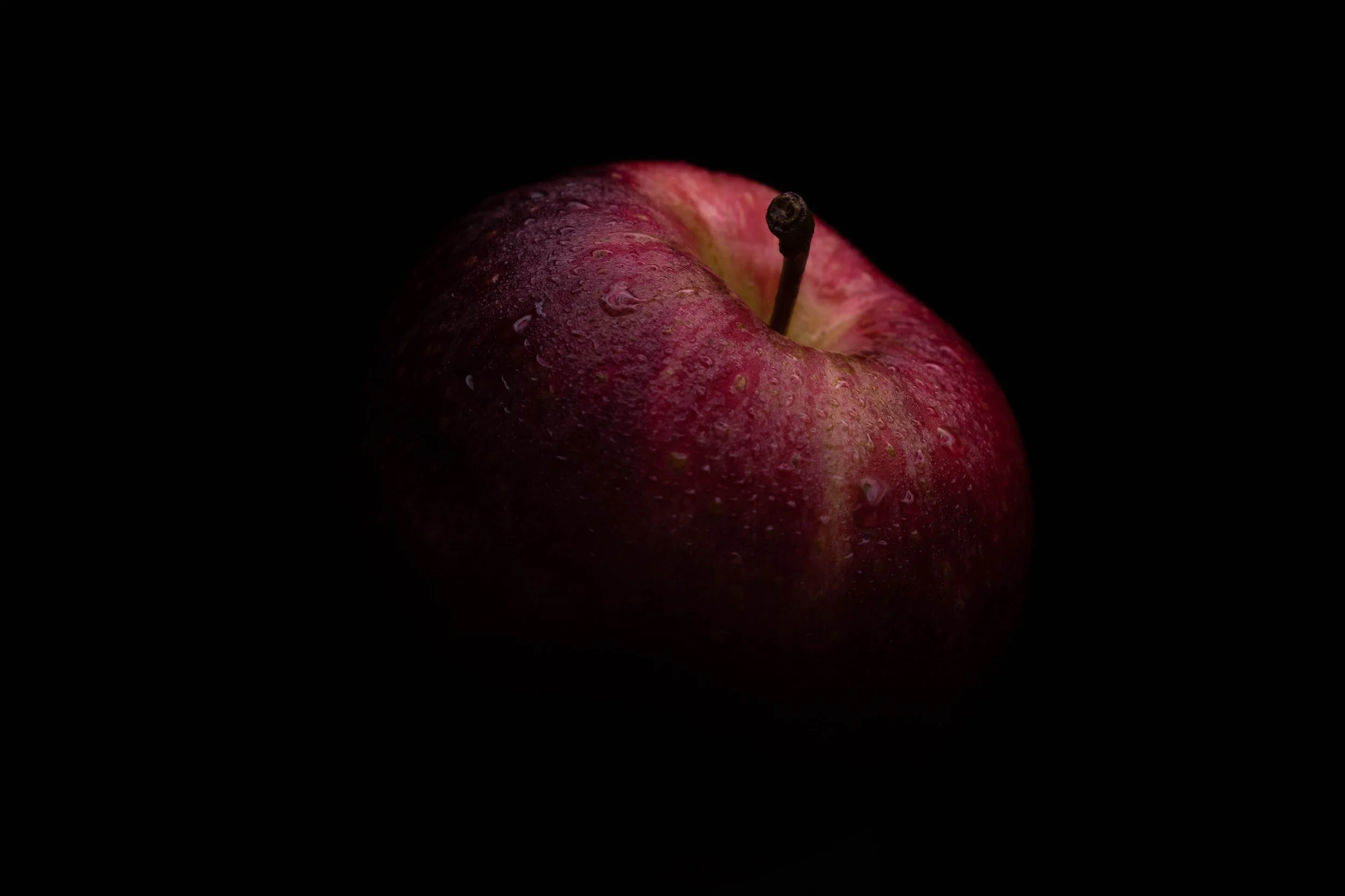 unsplash-image-bAhExeG4DXo.jpg