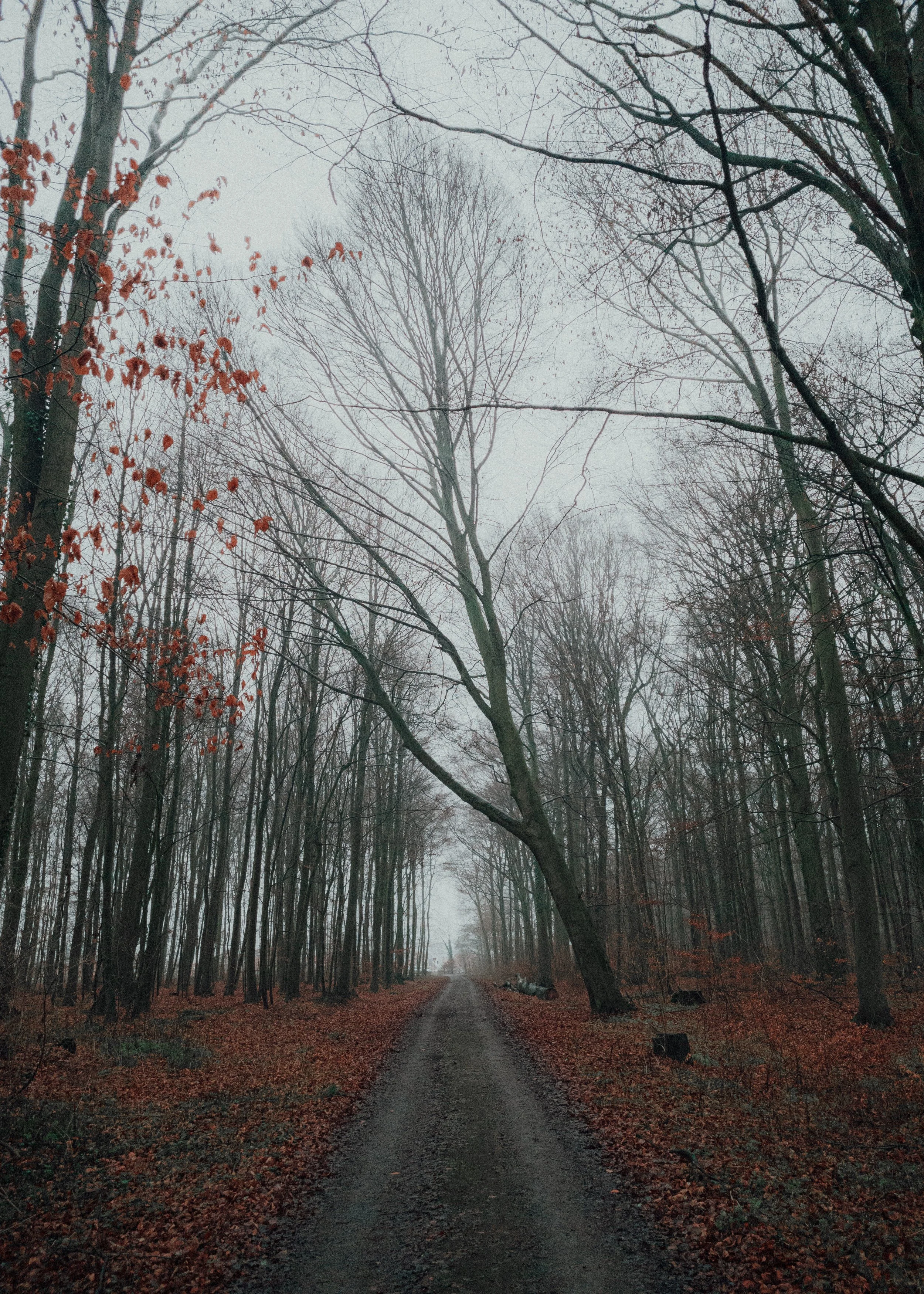 1st Place - Fotobynomad