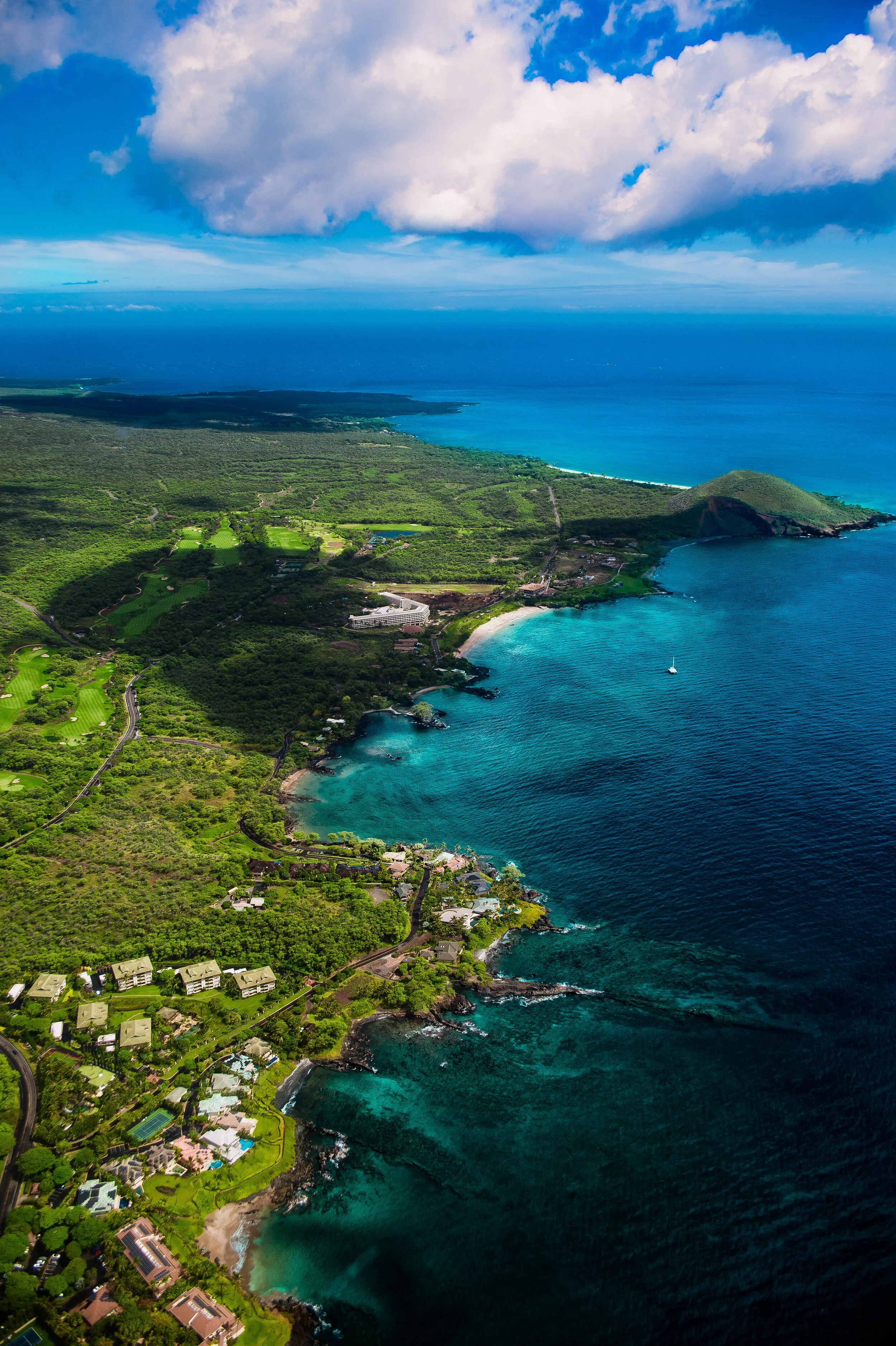 1st place submission by Floxit