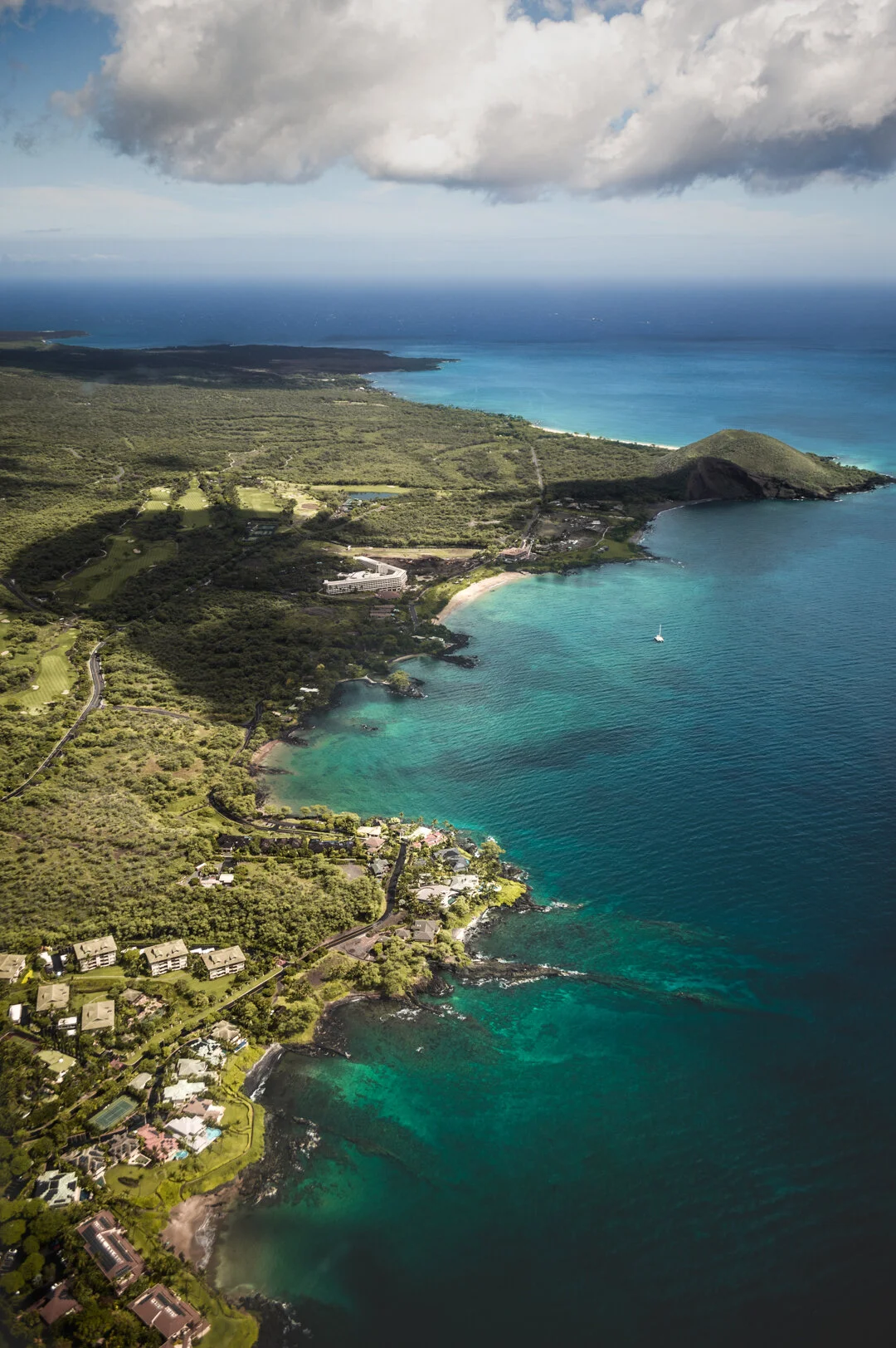 submitted by Alvaro_Campo