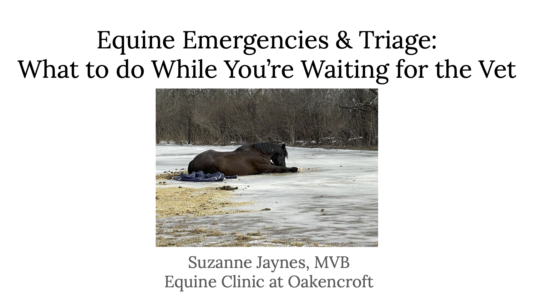 Equine Emergencies and Triage: What to do while you're waiting for the vet.