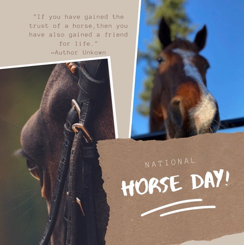 Today is National Horse Day!

Horses are highly social animals that form strong bonds of family and friendship. They can teach us how to be assertive, set boundaries and be clear and respectful in our communication. Interacting with horses offers a c