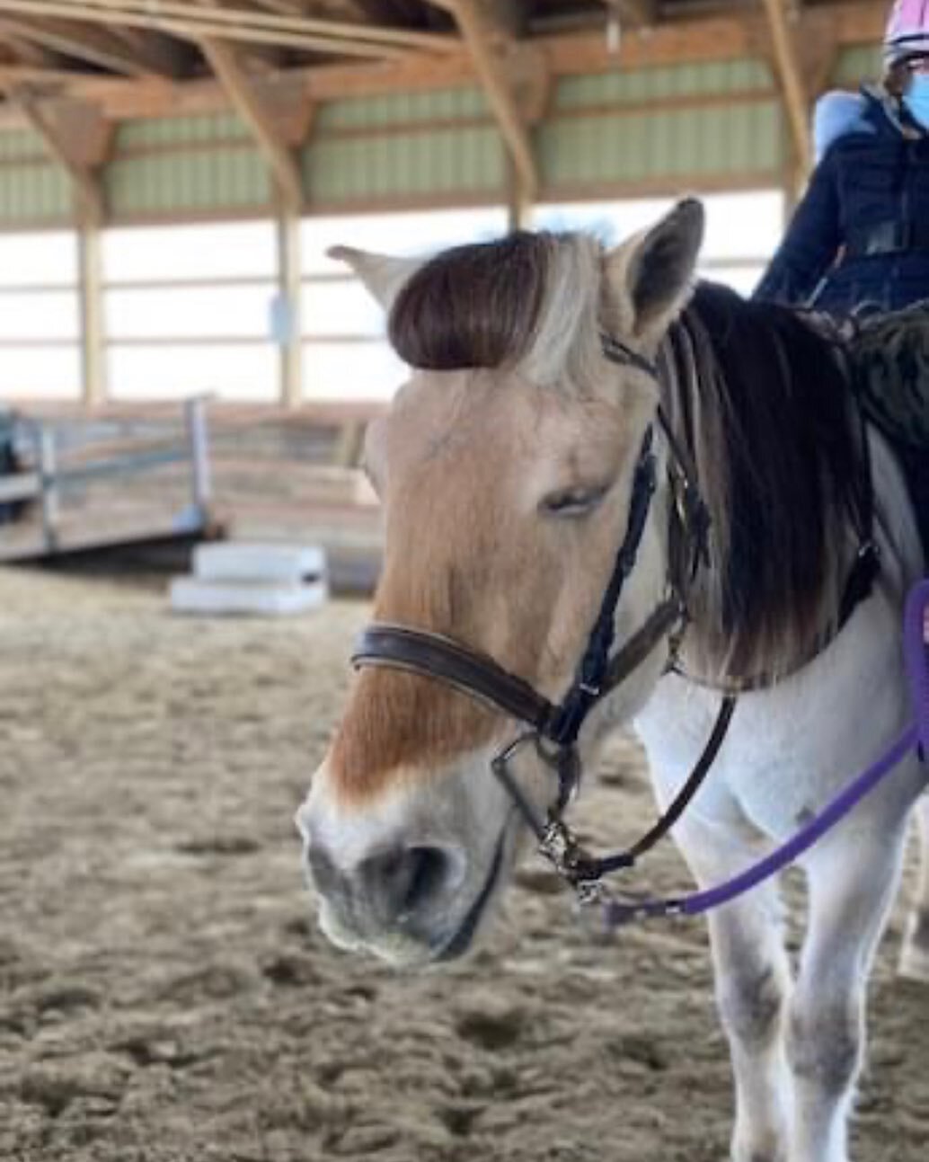 We are so excited that restrictions are beginning to change. This means that we are planning for a Fall session where we are able welcome back clients who need sidewalkers!! If you or your child have been unable to ride during COVID-19 and would like