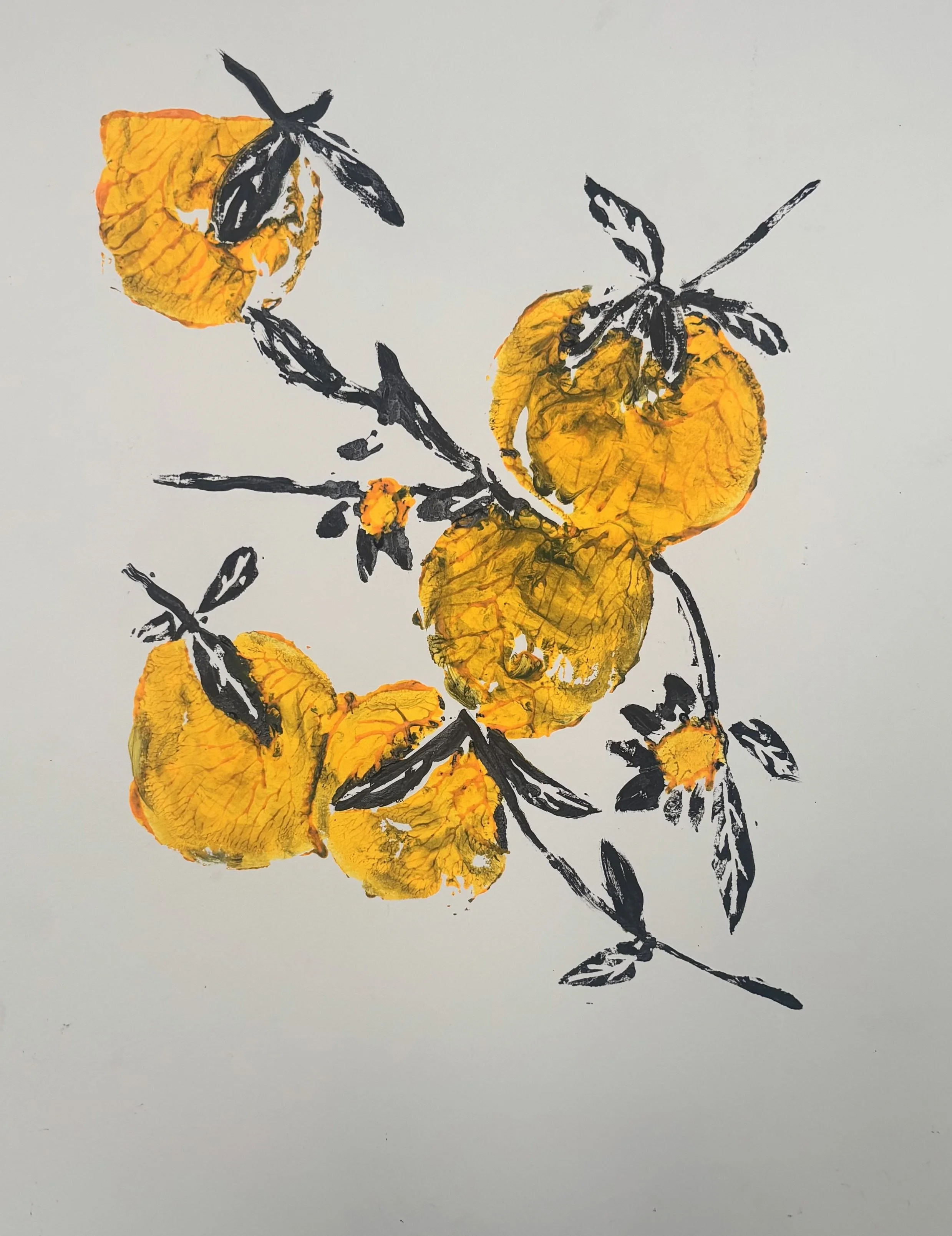 California Citrus, 2025
