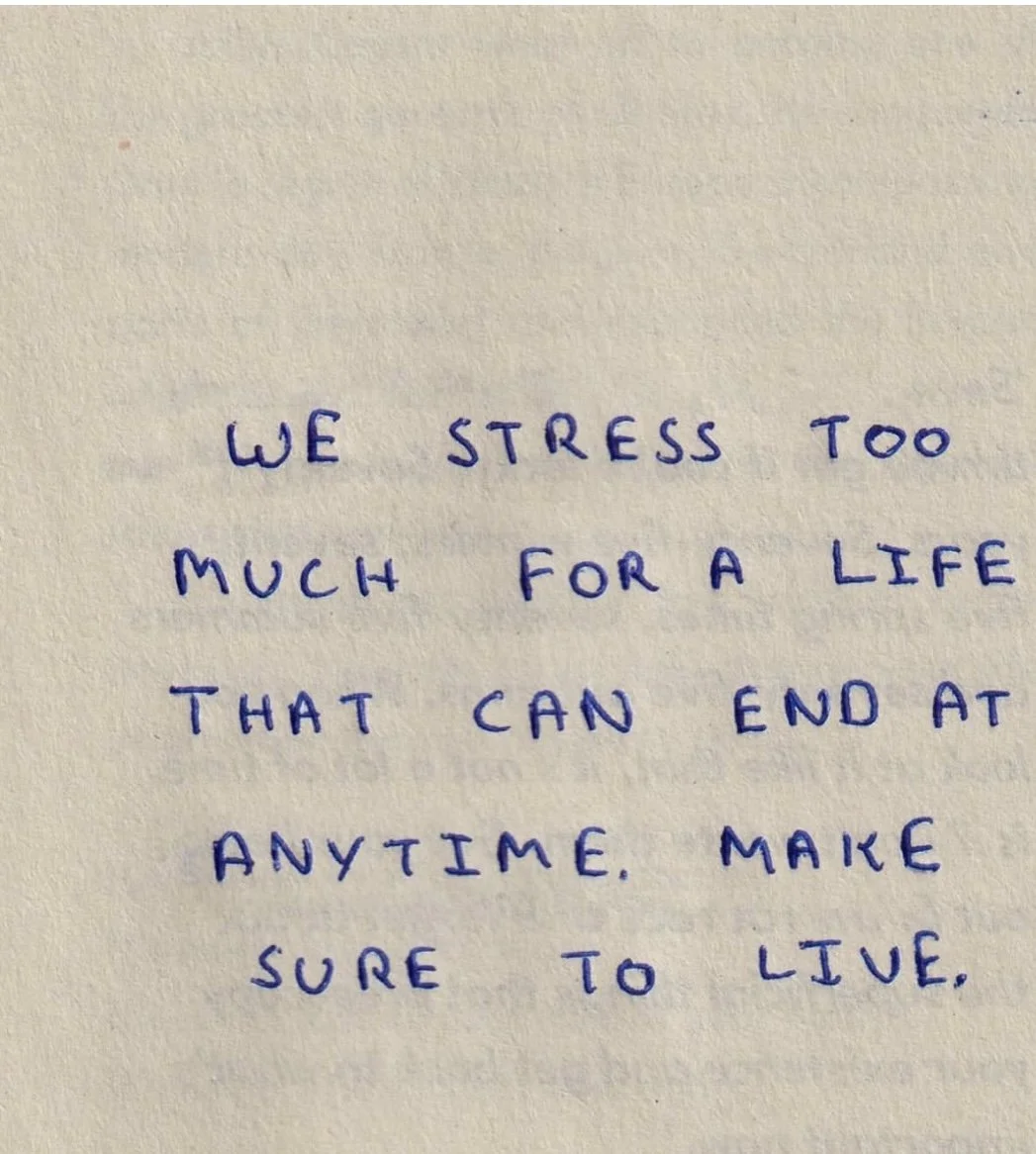 WE STRESS TOO.jpeg