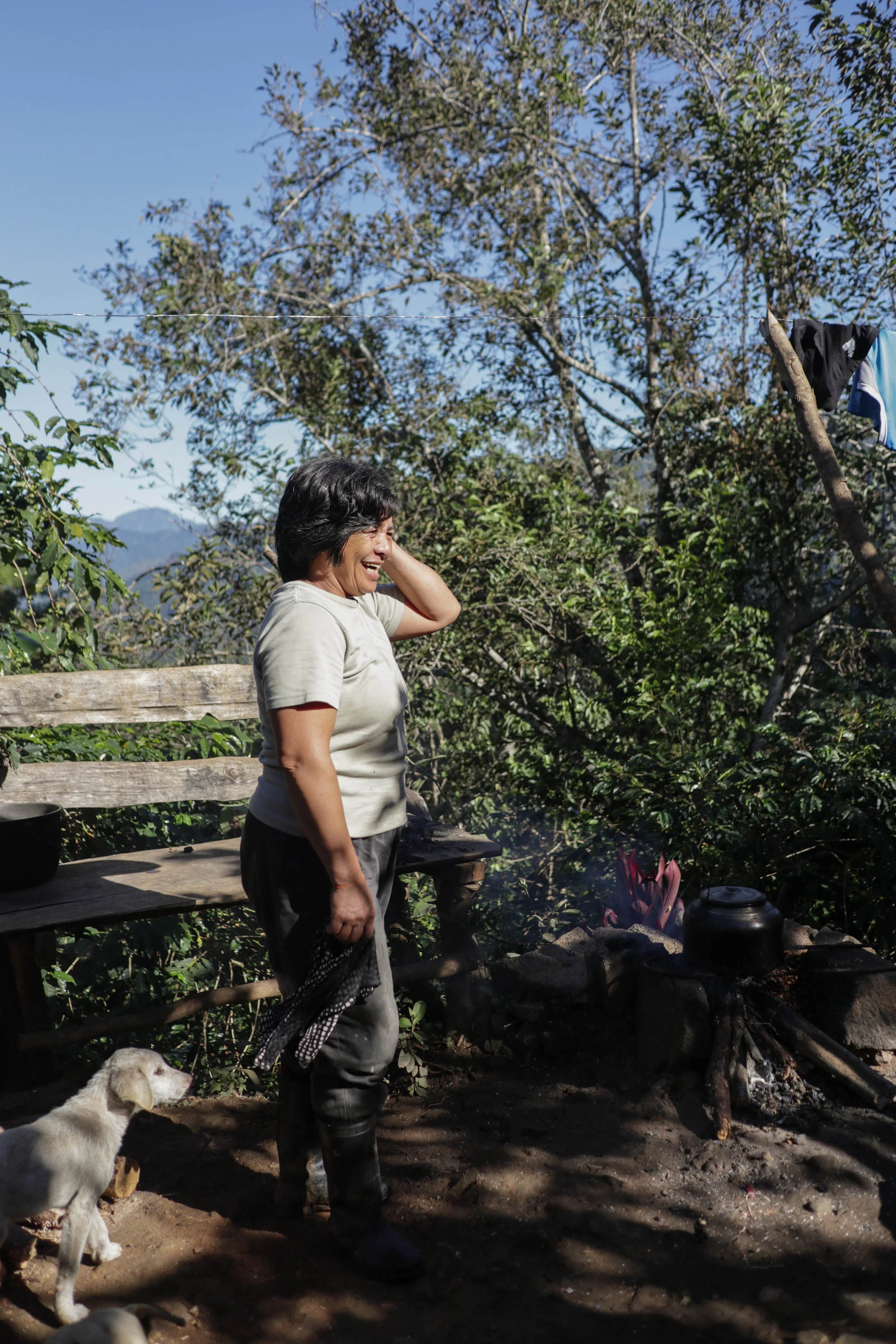 Sitio Belis: An Update