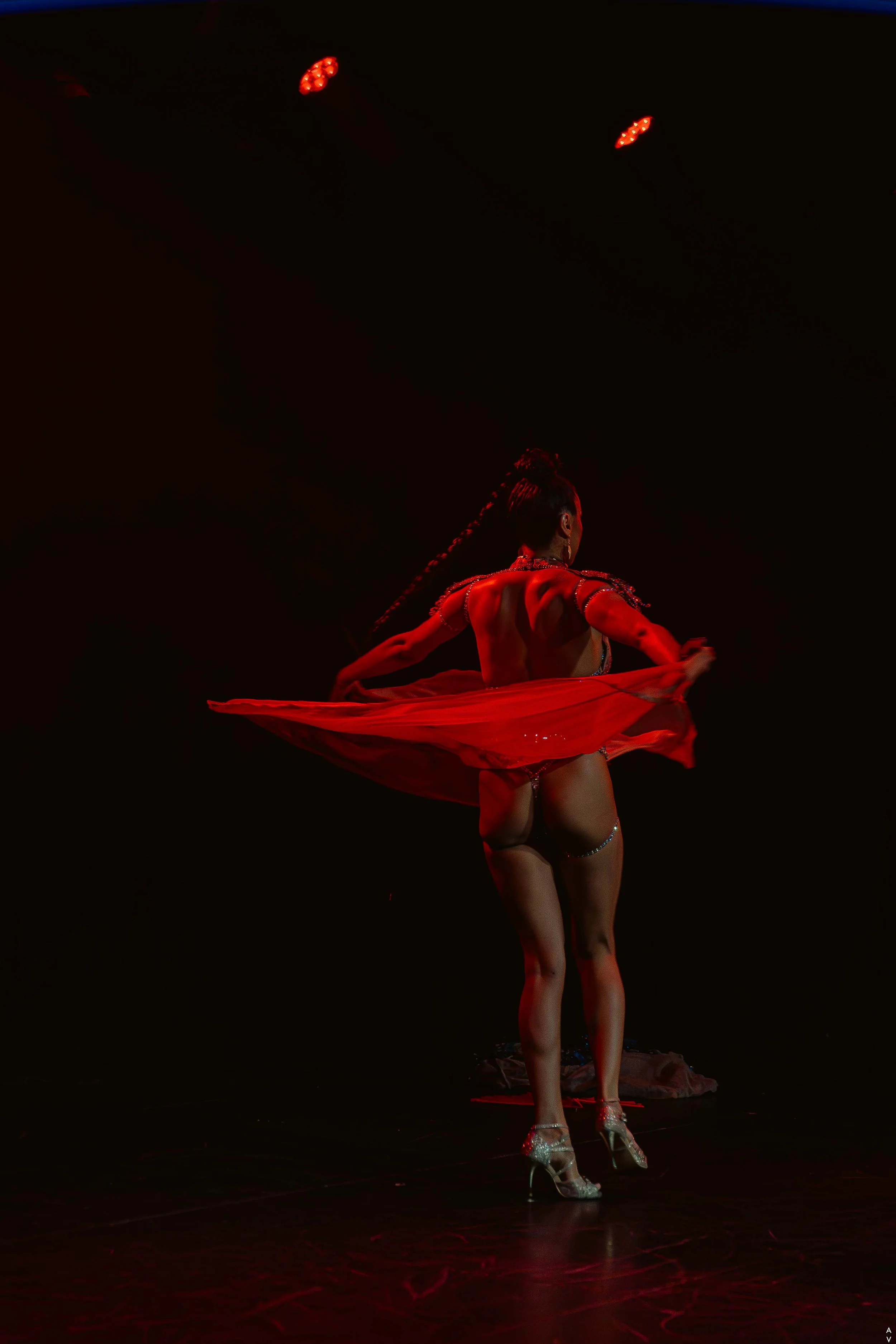 Honey Bee Rose at The Asian Burlesque Festival 2025