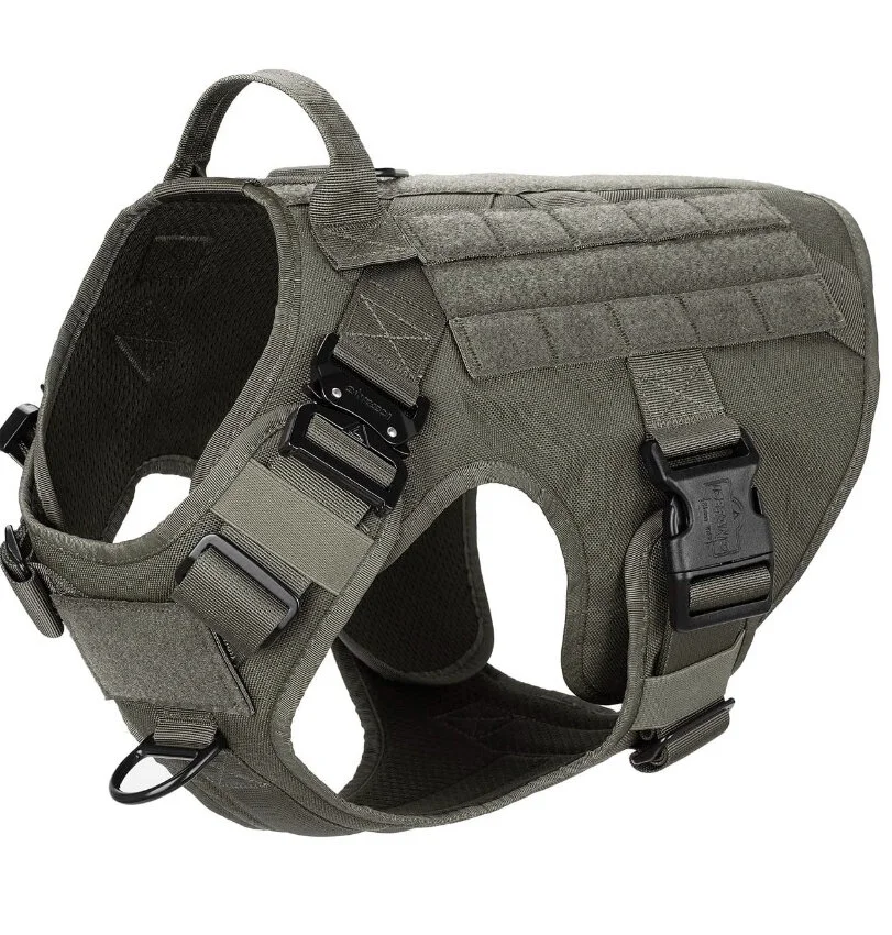 dachshund tactical harness