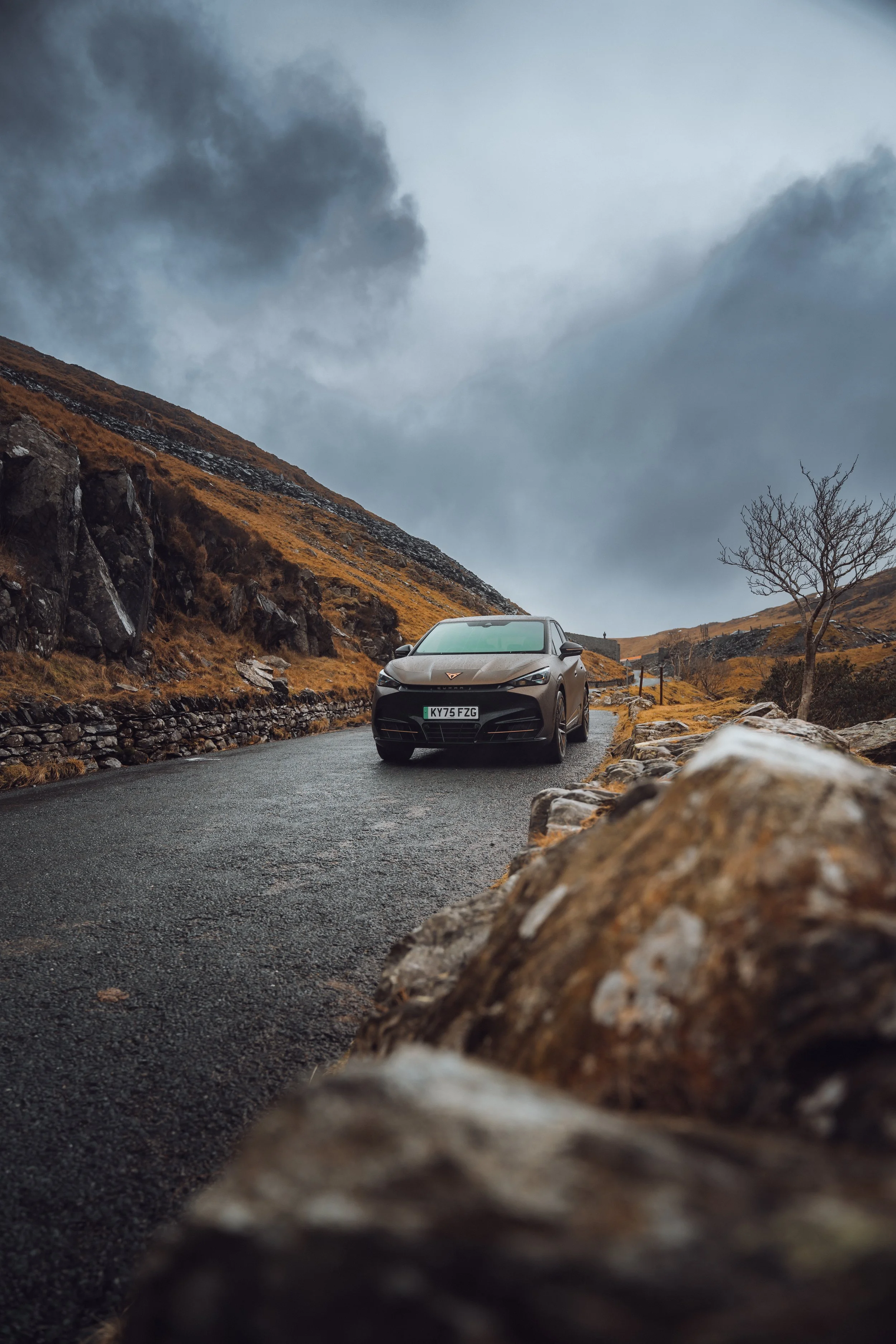 CUPRA Tavascan vz2 x Withcoste37.jpg