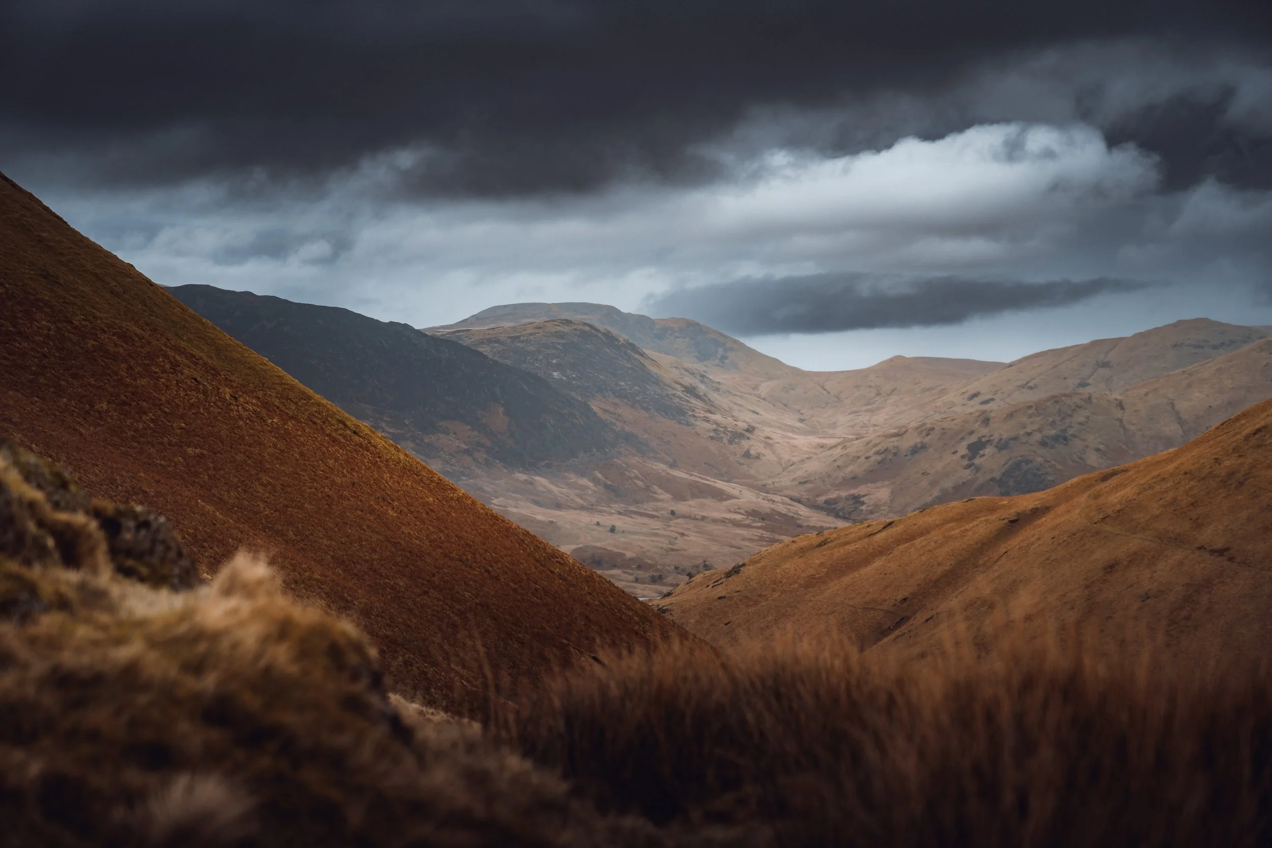 CUPRA Tavascan vz2 x Withcoste23.jpg