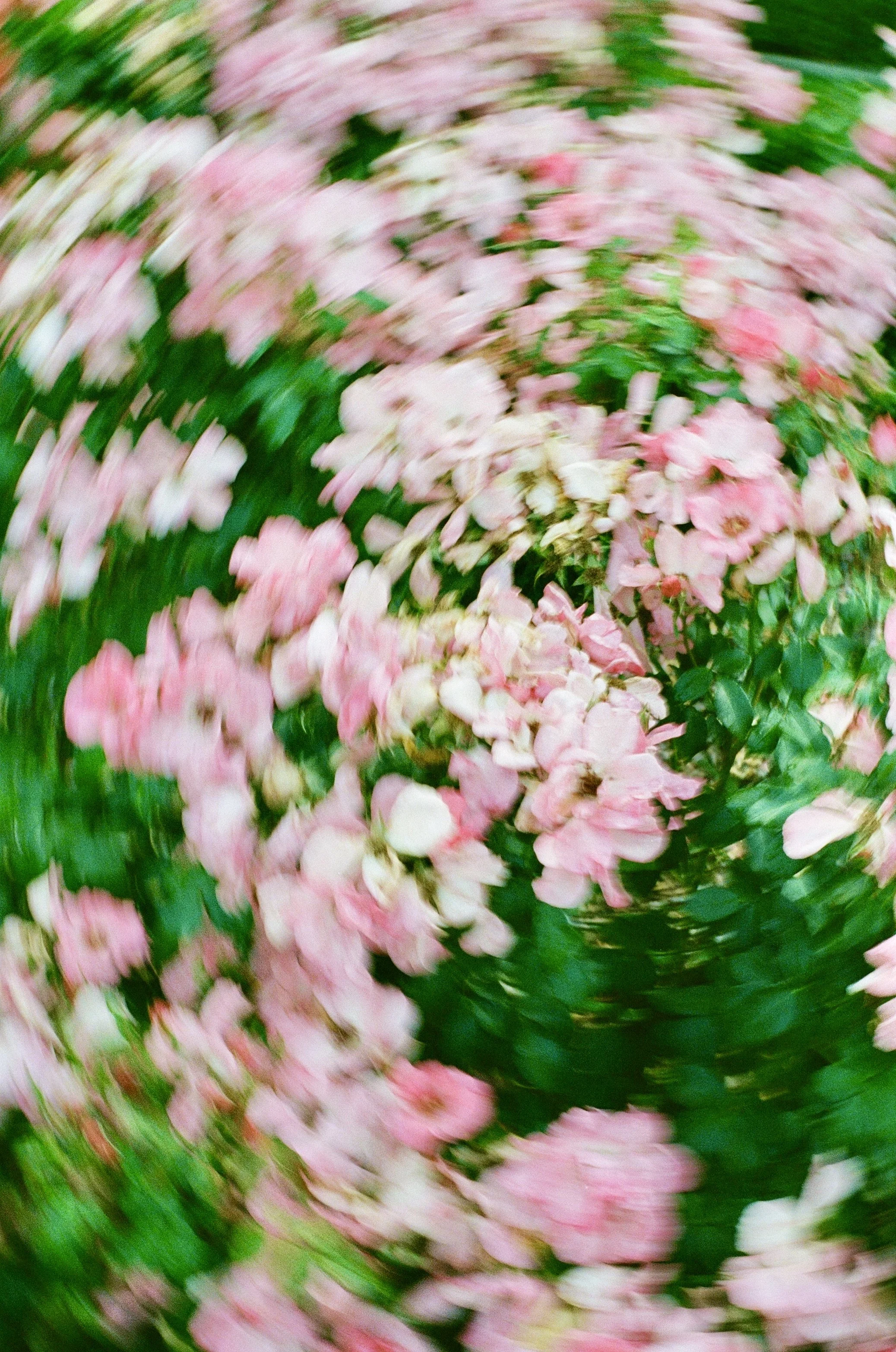 7811B04F-5E9D-479D-A0CA-D6F5A7237CB8_1_201_a.jpeg