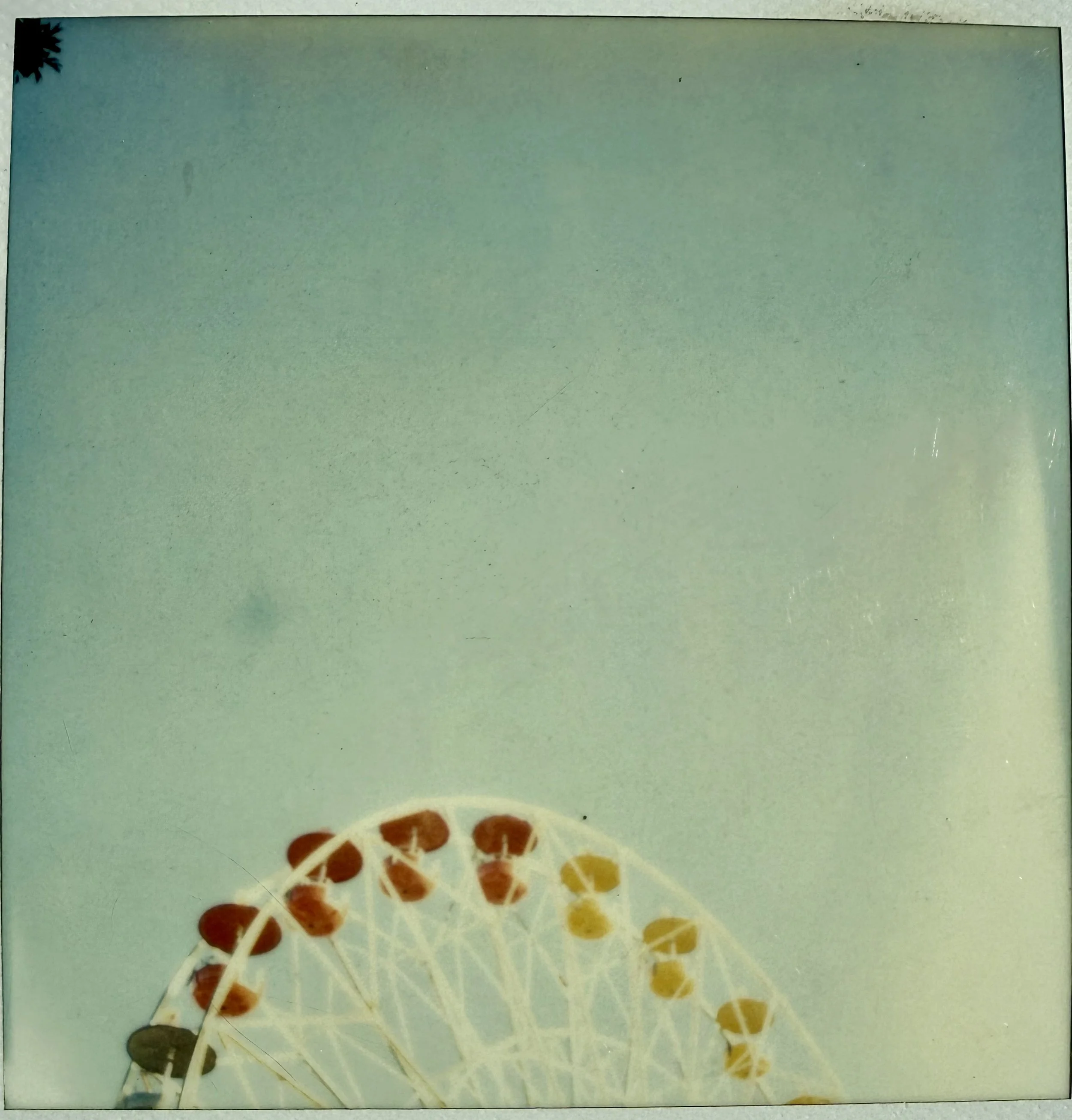 117E3846-5337-42C4-8ED2-A919A760D183_1_201_a.jpeg