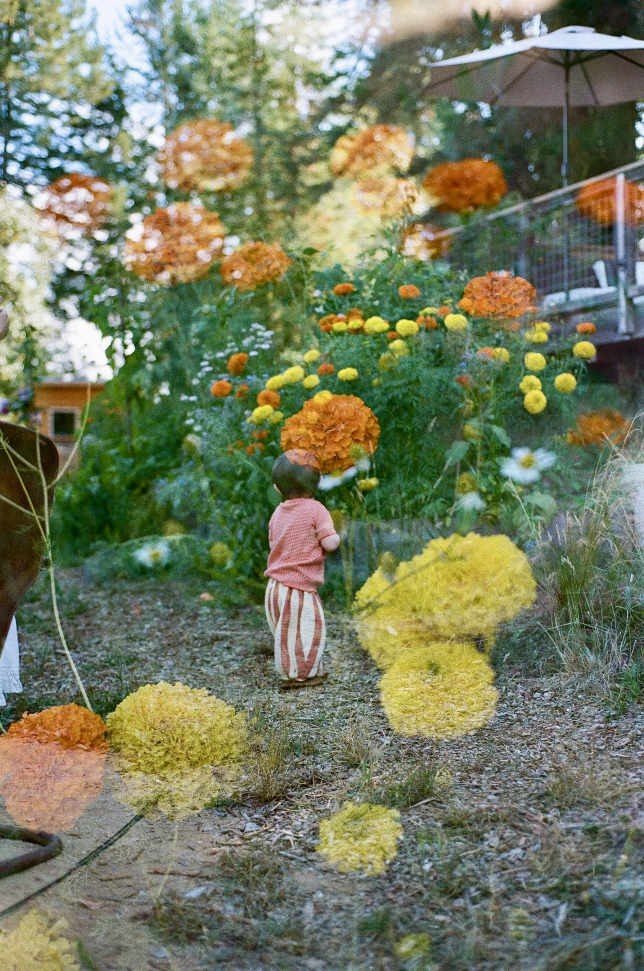 10B0280C-1059-4F09-B8E7-27B8F5BFD9F6_1_201_a.jpeg
