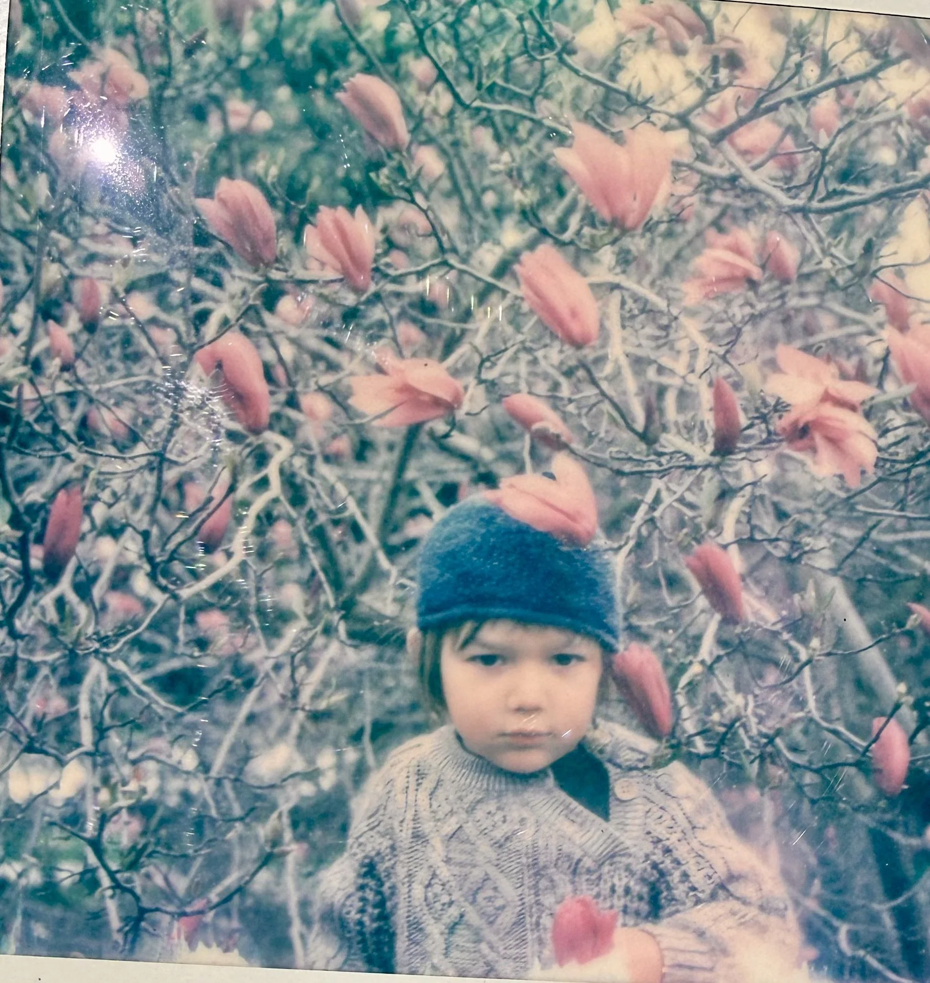 44B00136-66A8-4501-B615-F6F44B14328D_1_201_a.jpeg