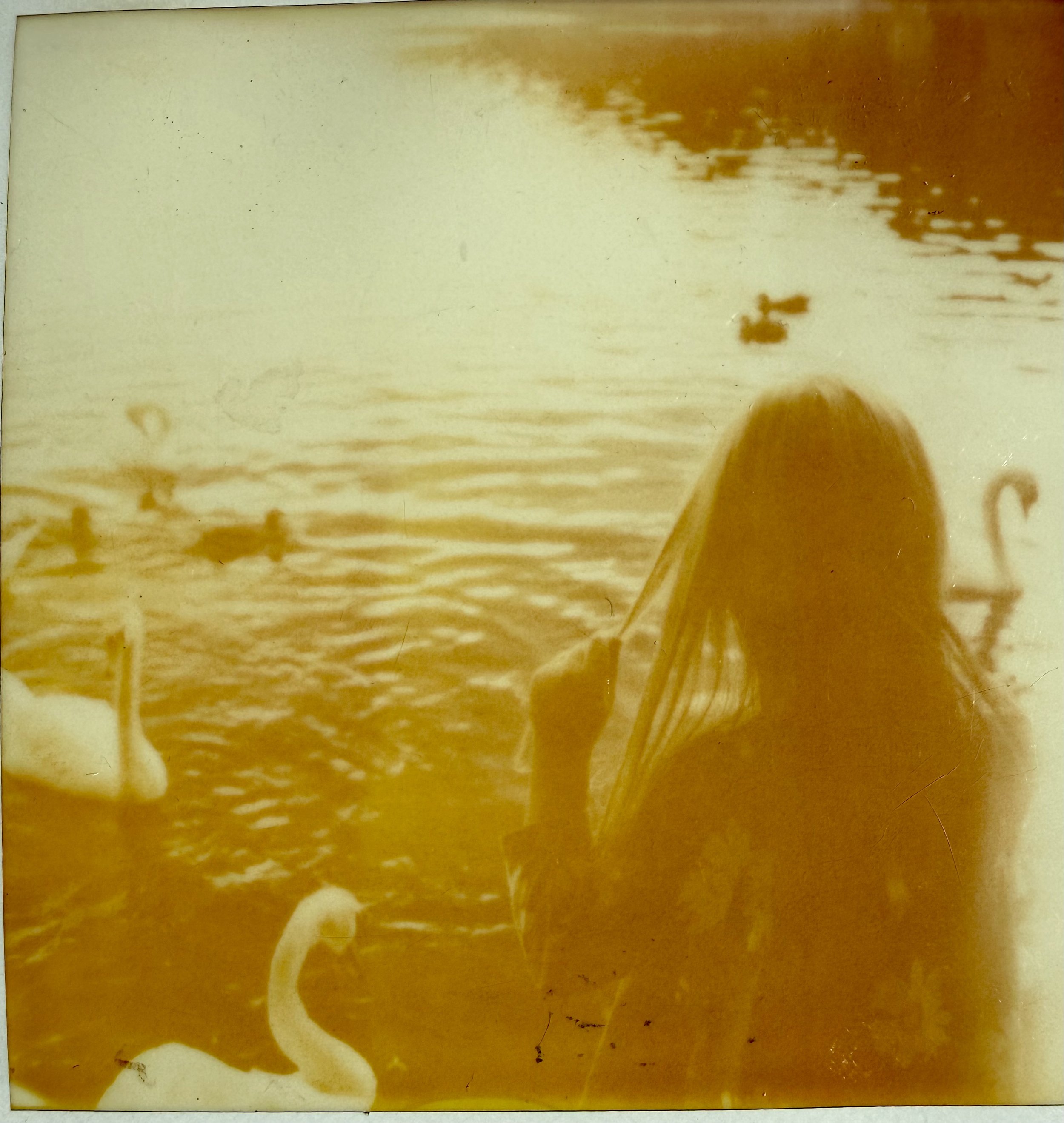47716F36-B1A3-459A-AE0B-06235470A0ED_1_201_a.jpeg