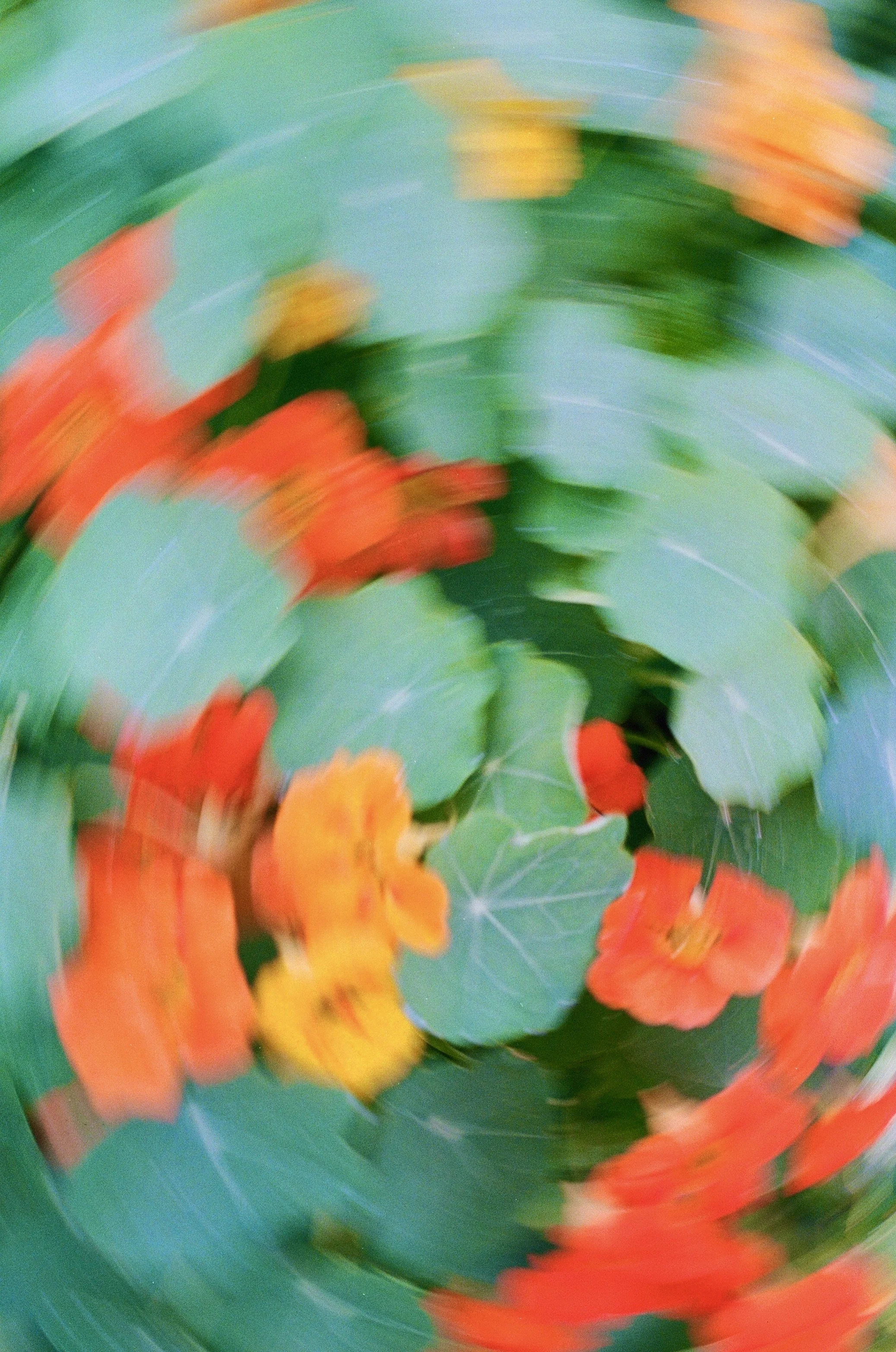 56DC0E6A-968A-4AEA-BE5A-8123A0A507F1_1_201_a.jpeg