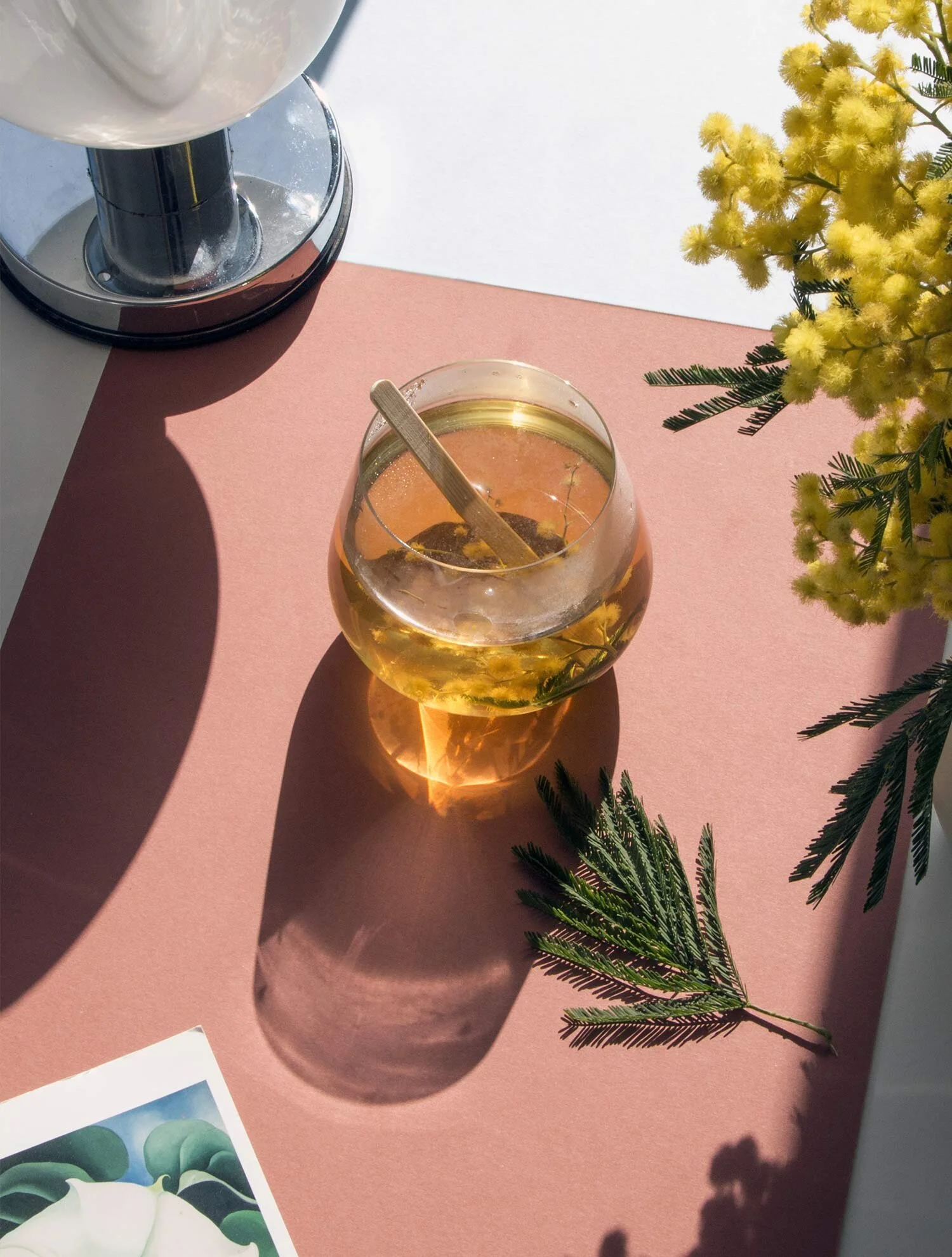 Mimosa