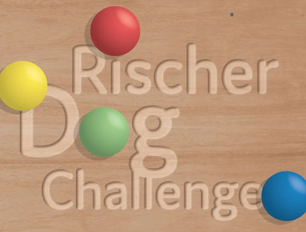 3. Rischer-DOG-Challenge 2. November 2025 in Rotkreuz