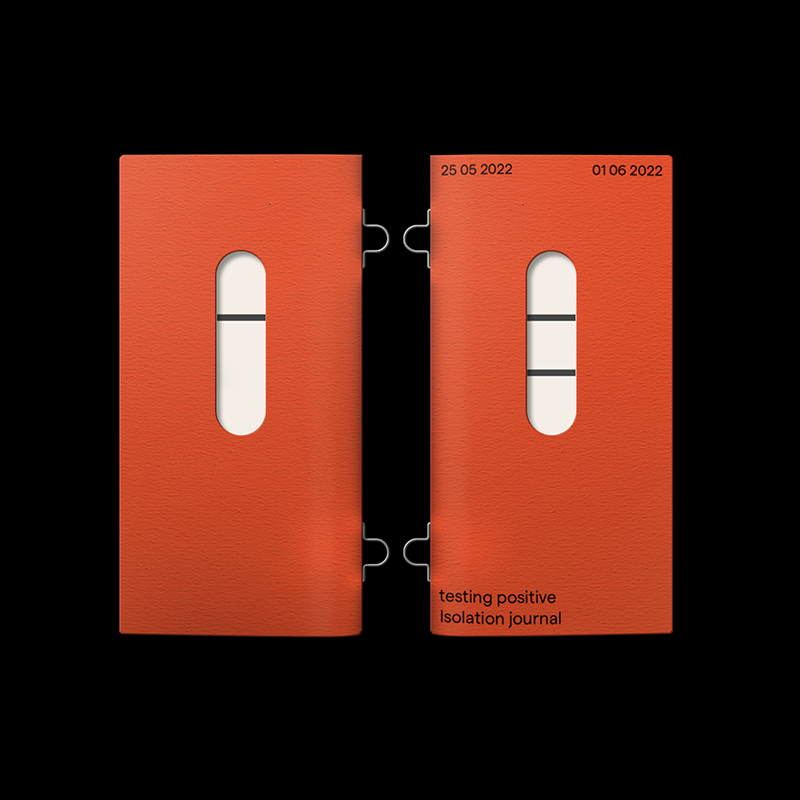 Testing Positive Journal