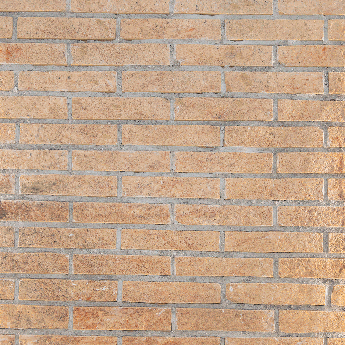 CURSO-COMPLETO_cuadrado.gif