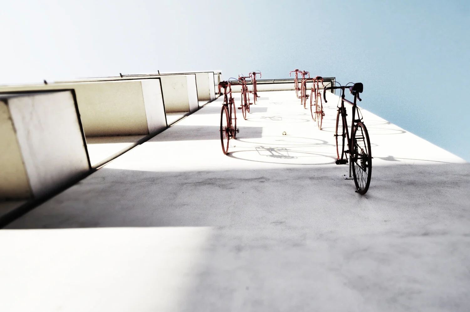 SPECIALIZED_JanVlcek_01 copy - Copy.jpg