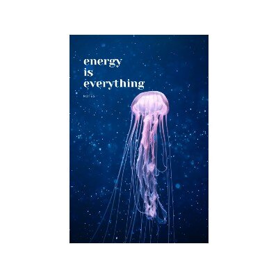 energy is everything notebook