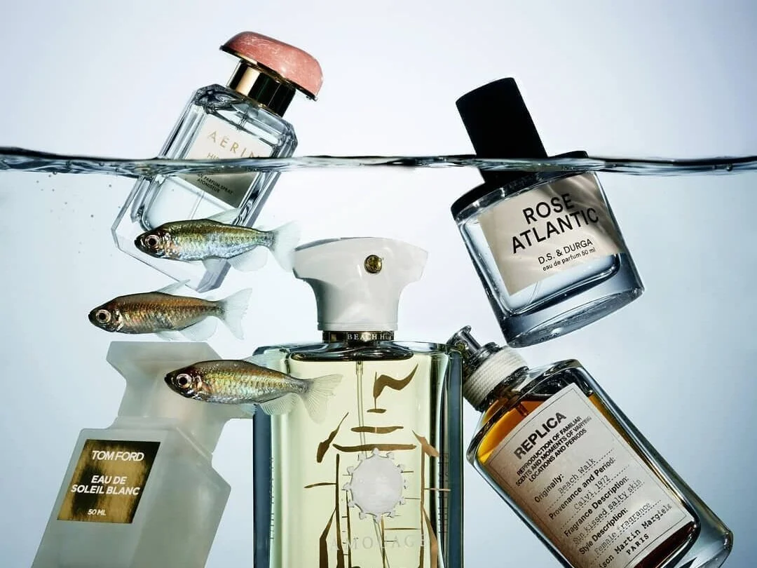 GET SALTY, Grazia Magazine