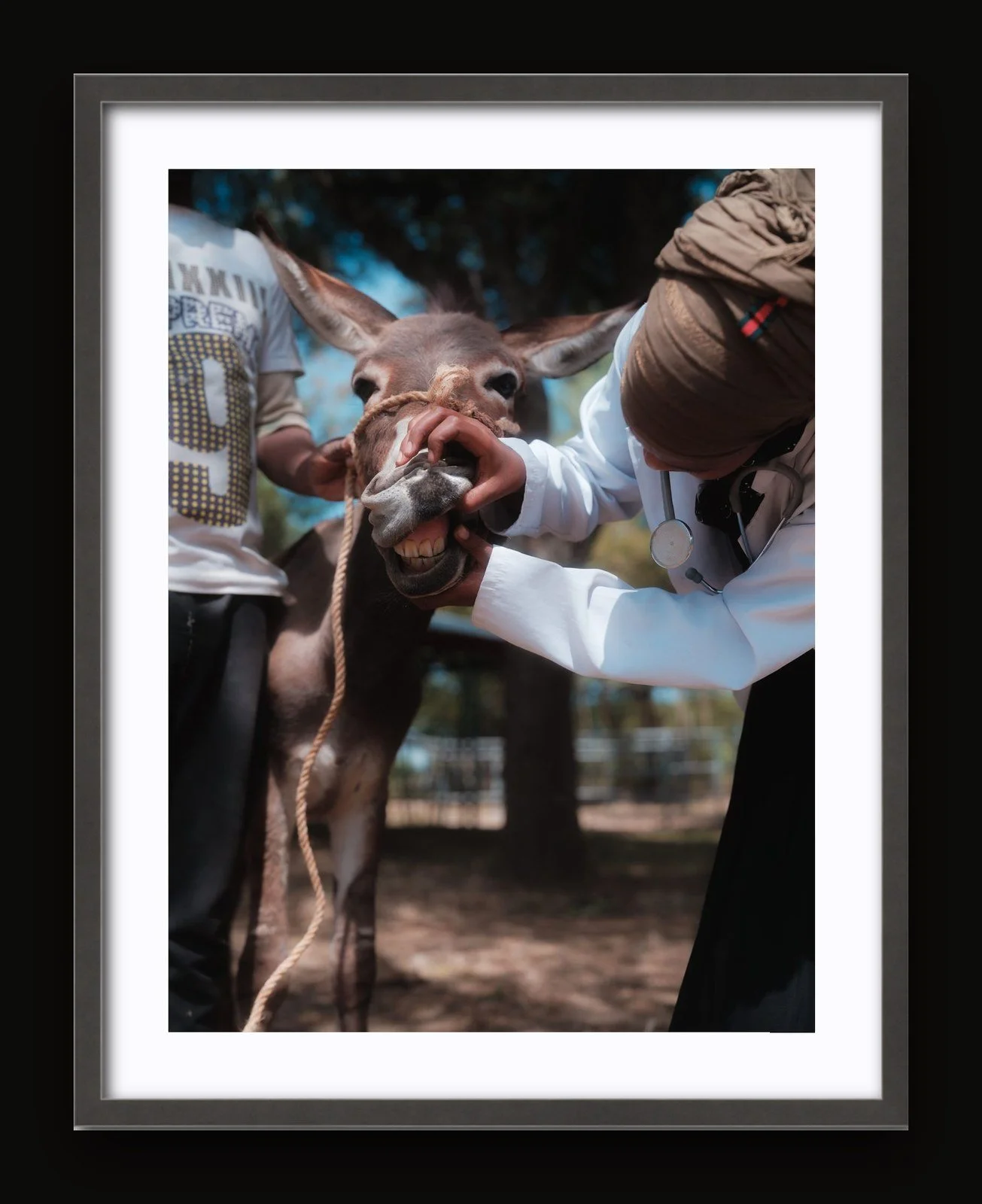 Stand 08 - Hands of Care II - Sanctuary frame.jpg