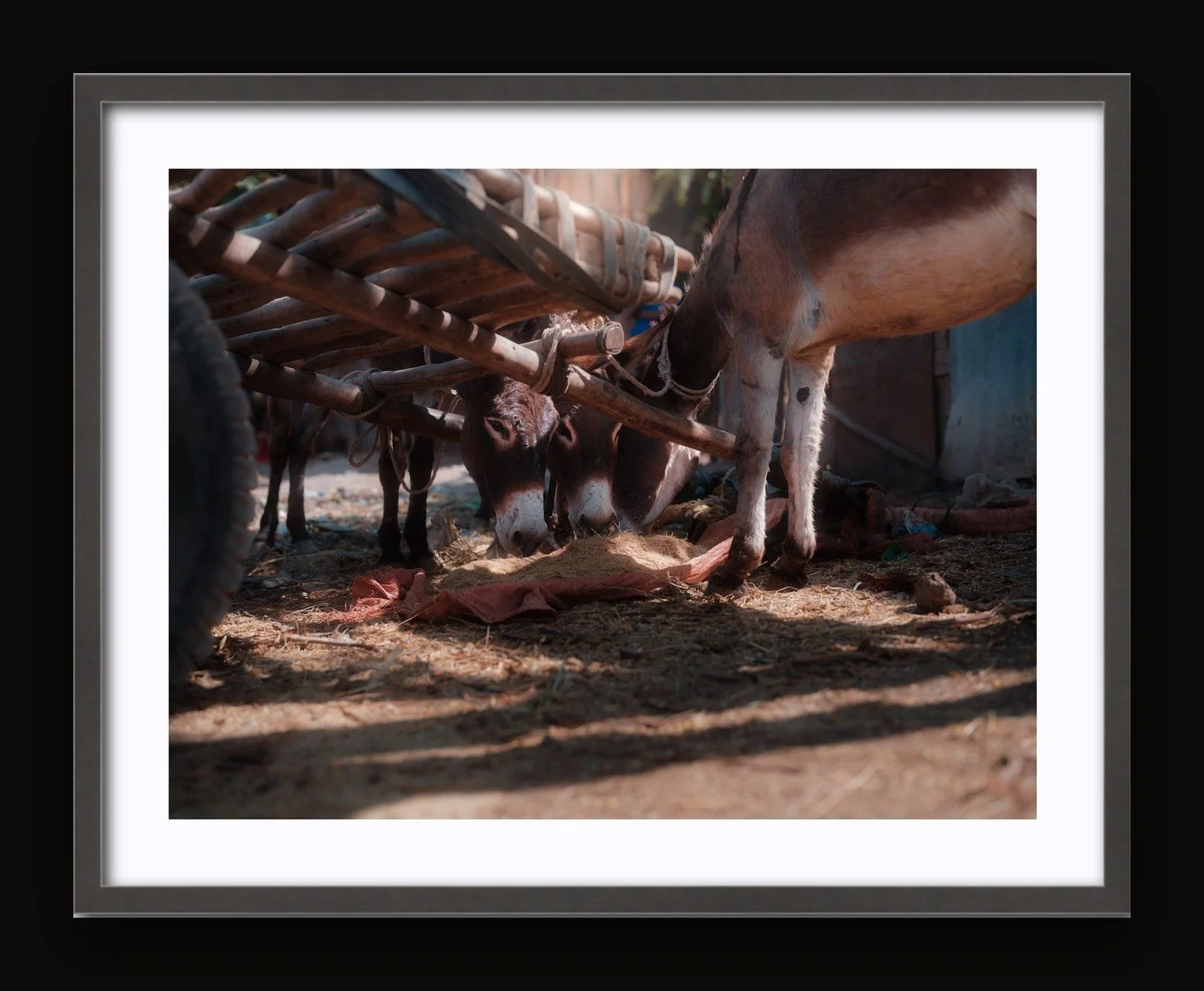 Stand 04 - Food and Water I - Sanctuary frame.jpg