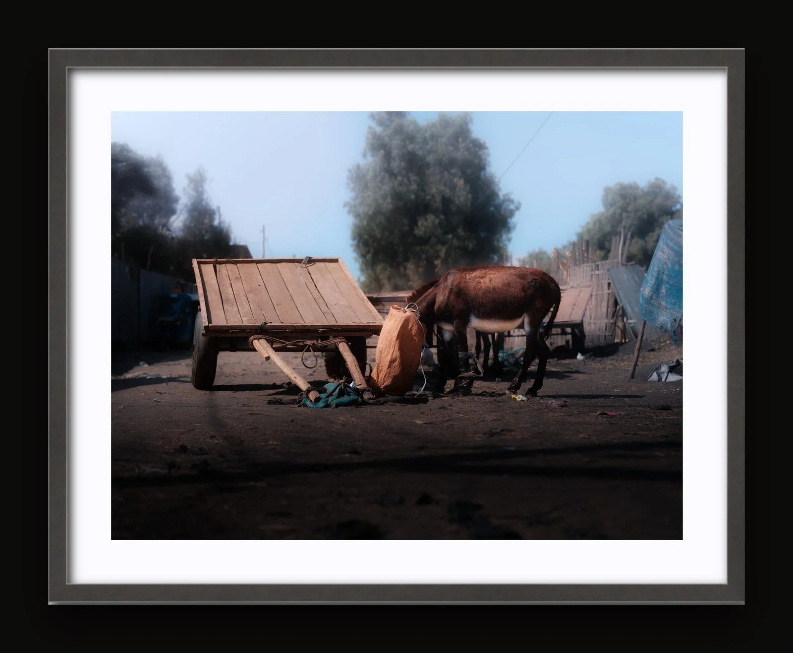 Stand 04 - Food and Water III - Sanctuary frame.jpg