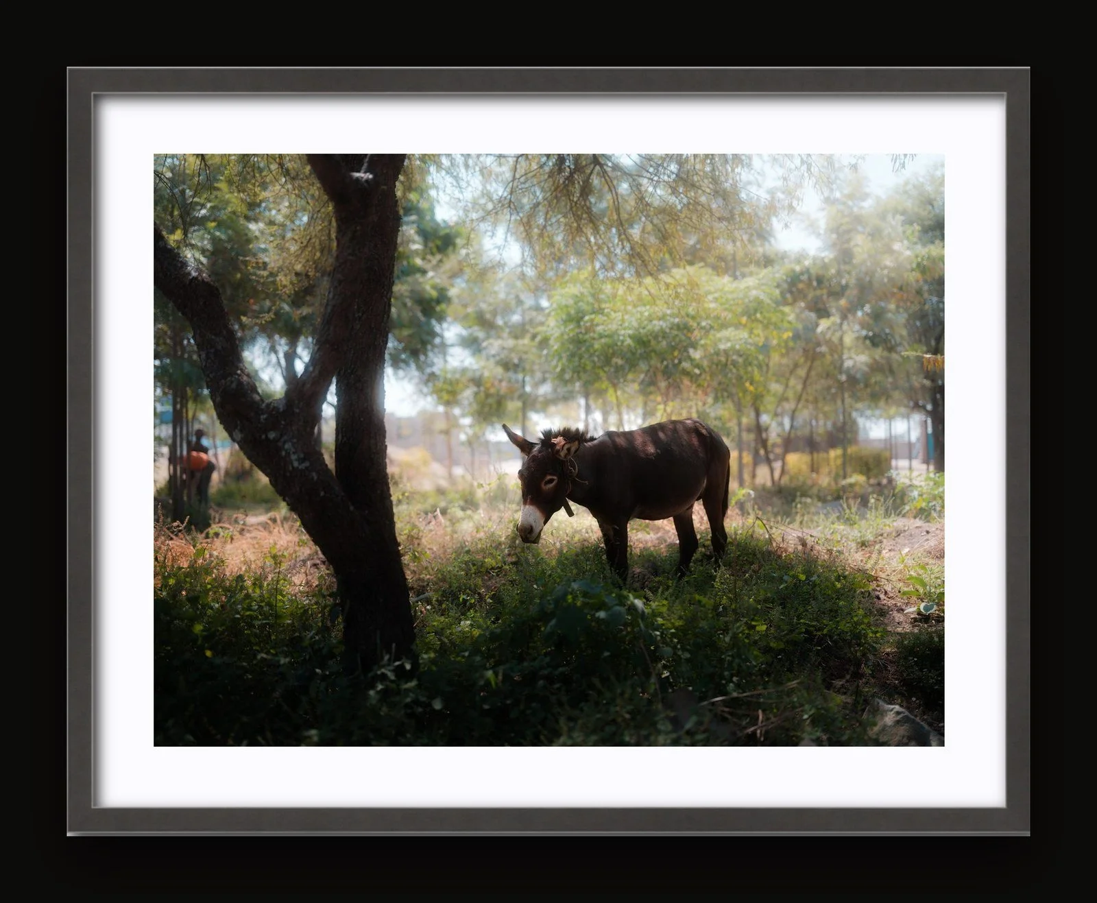 Stand 12 - Rest II - Sanctuary frame.jpg