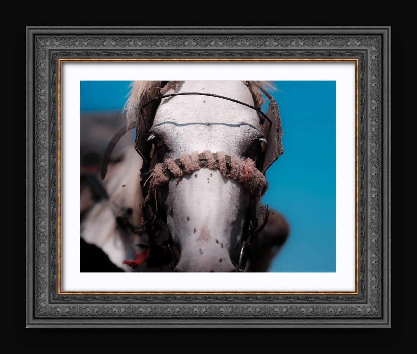 Stand 11 - Windows III - Renaissance frame.jpg
