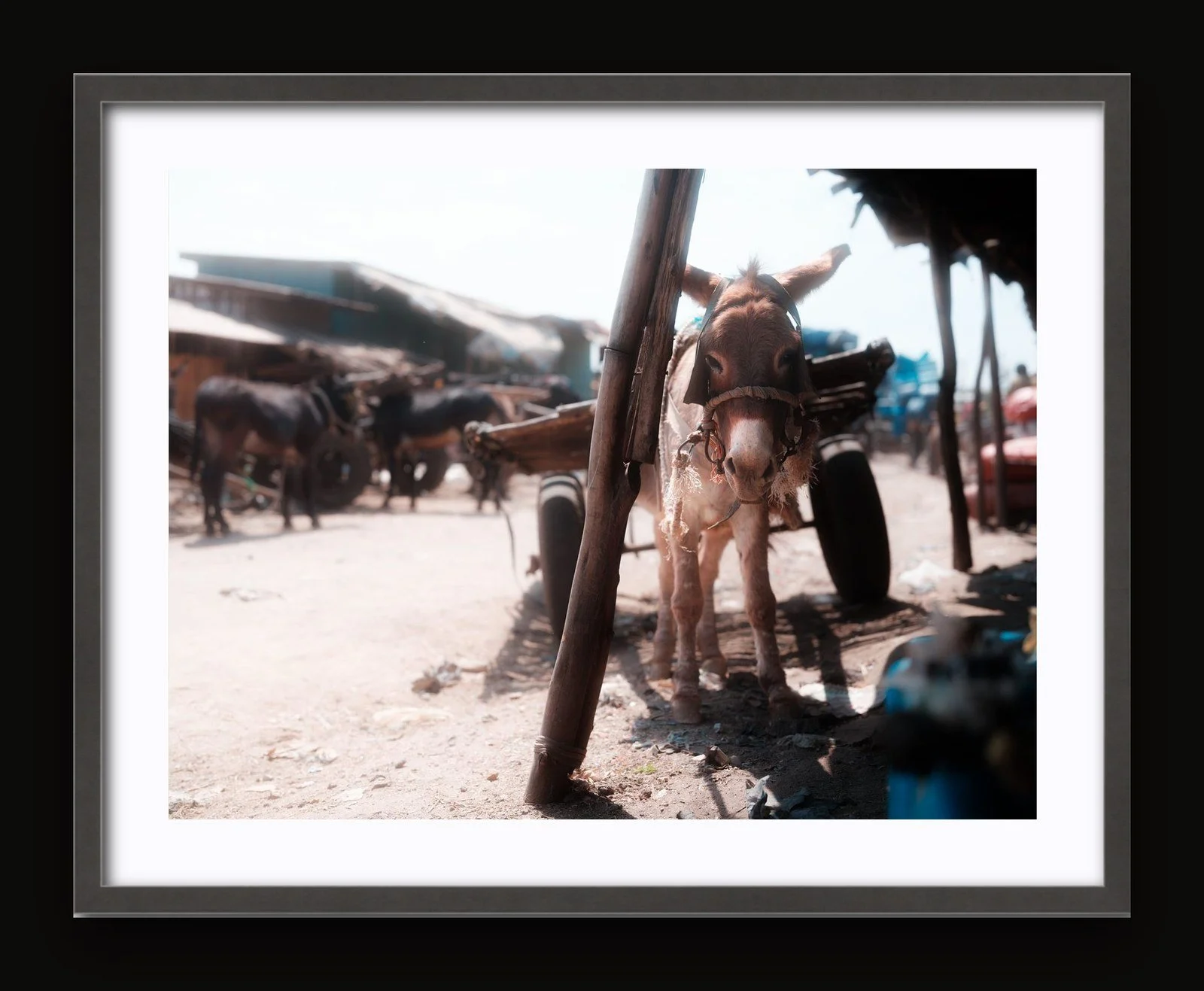 Stand 07 - Shade III - Sanctuary frame.jpg